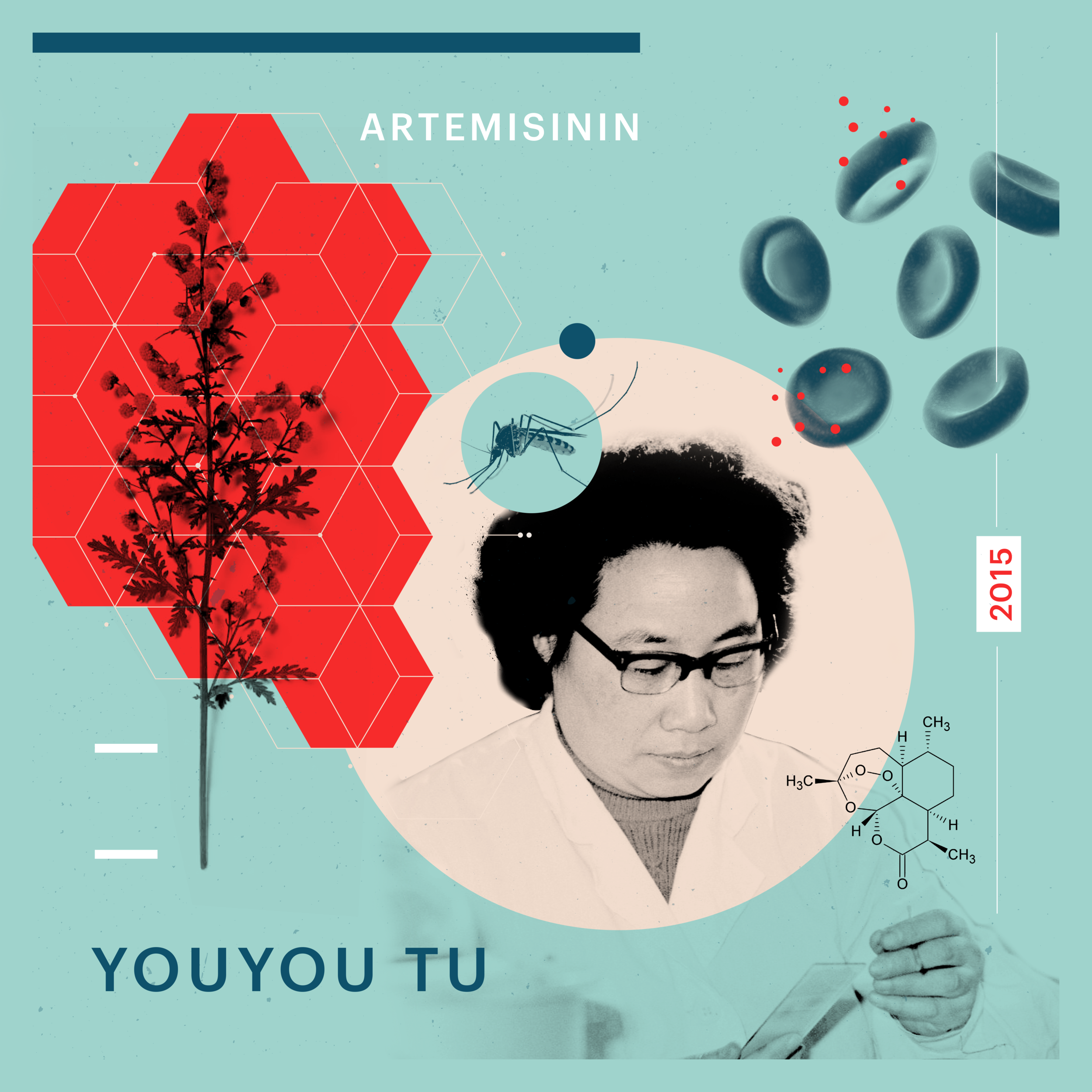 youyou_withborder.png