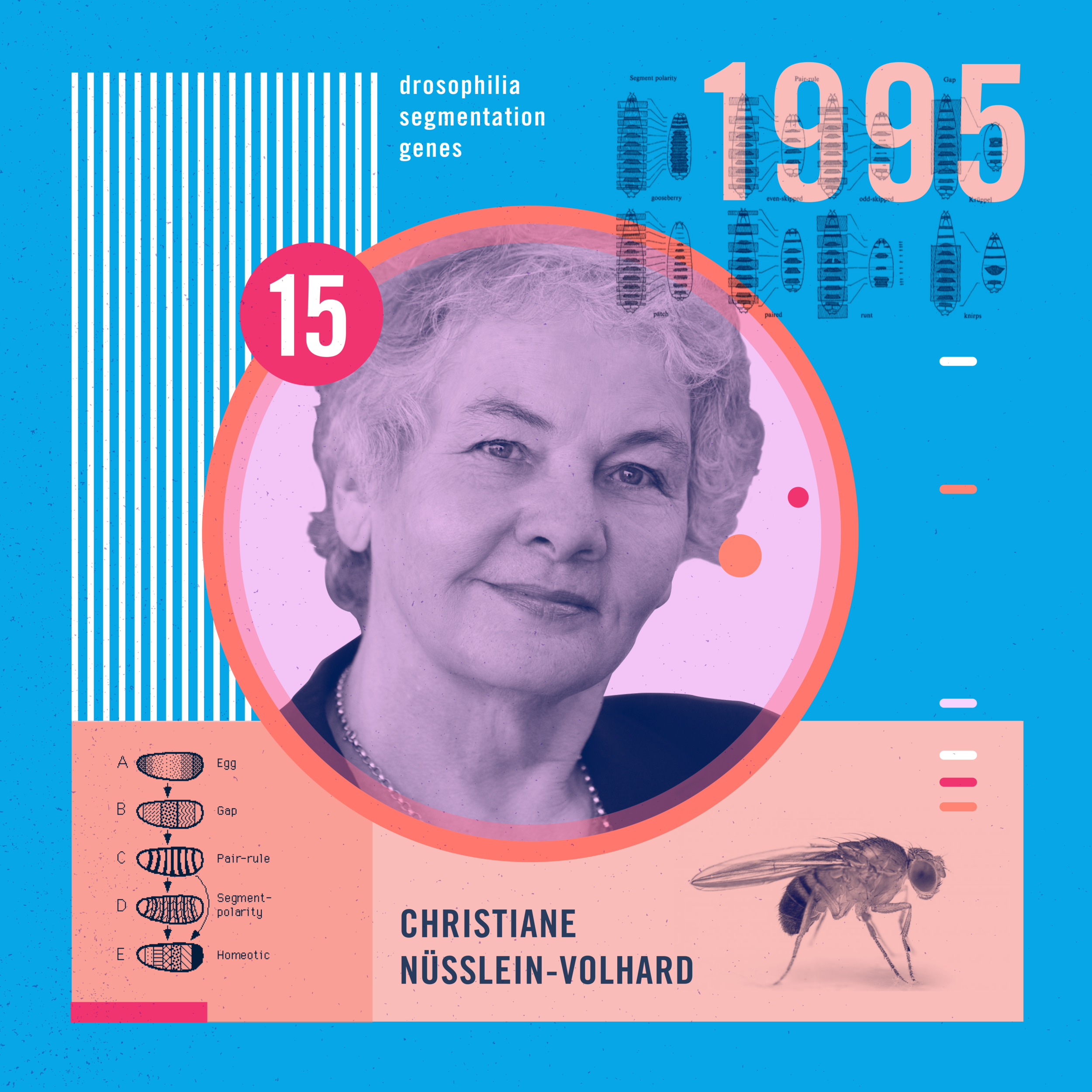 christiane_nusslein_volhard.png