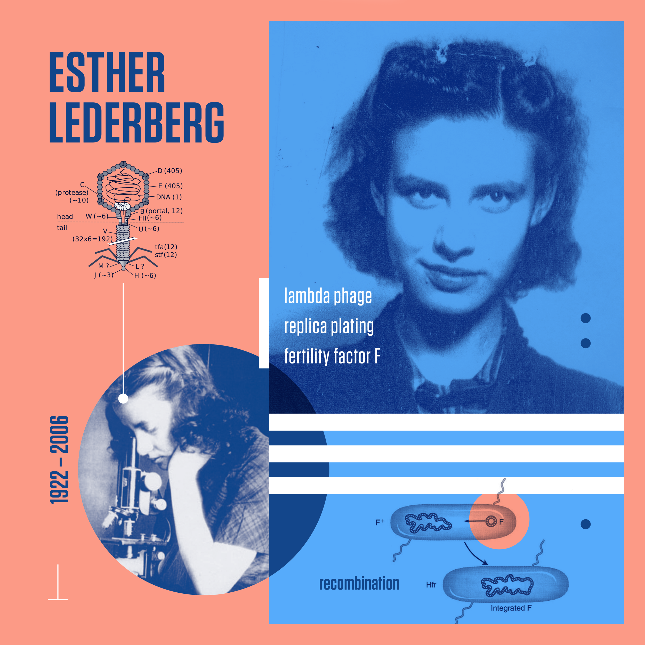 esther_cover.png