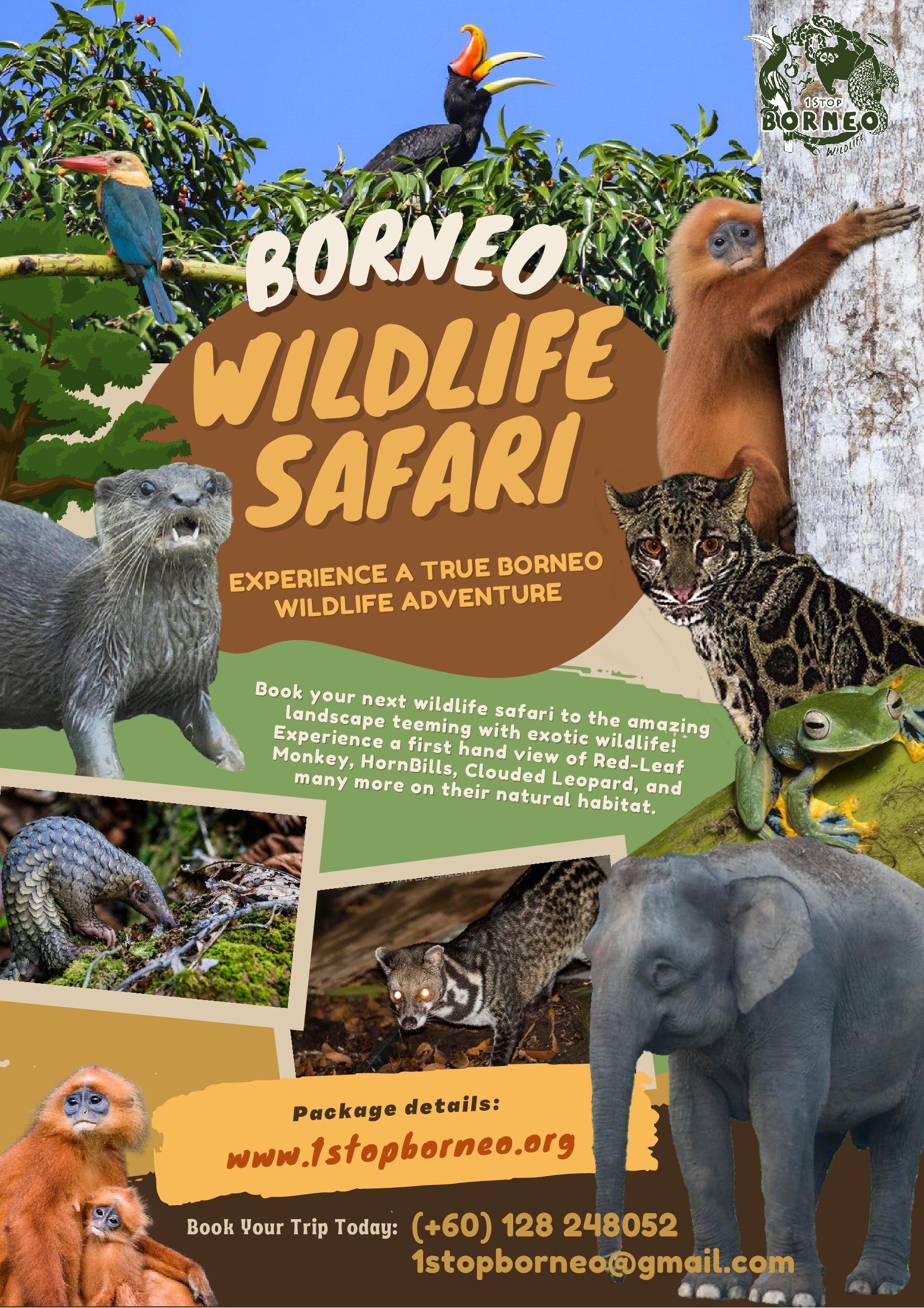 1StopBorneo Wildlife pamphlet