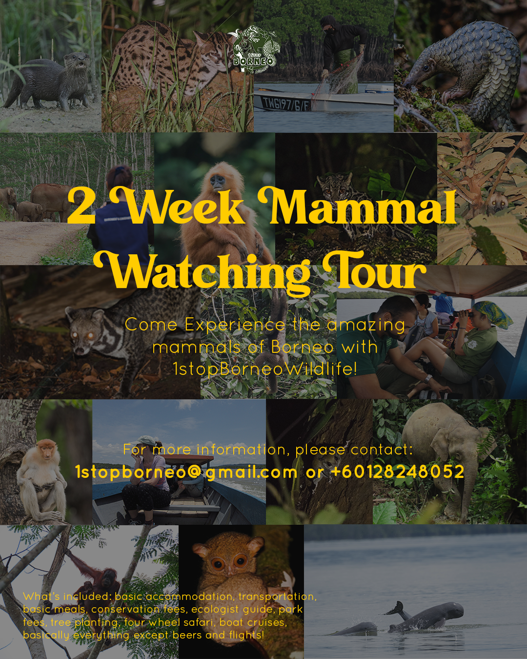 Mammal Watching