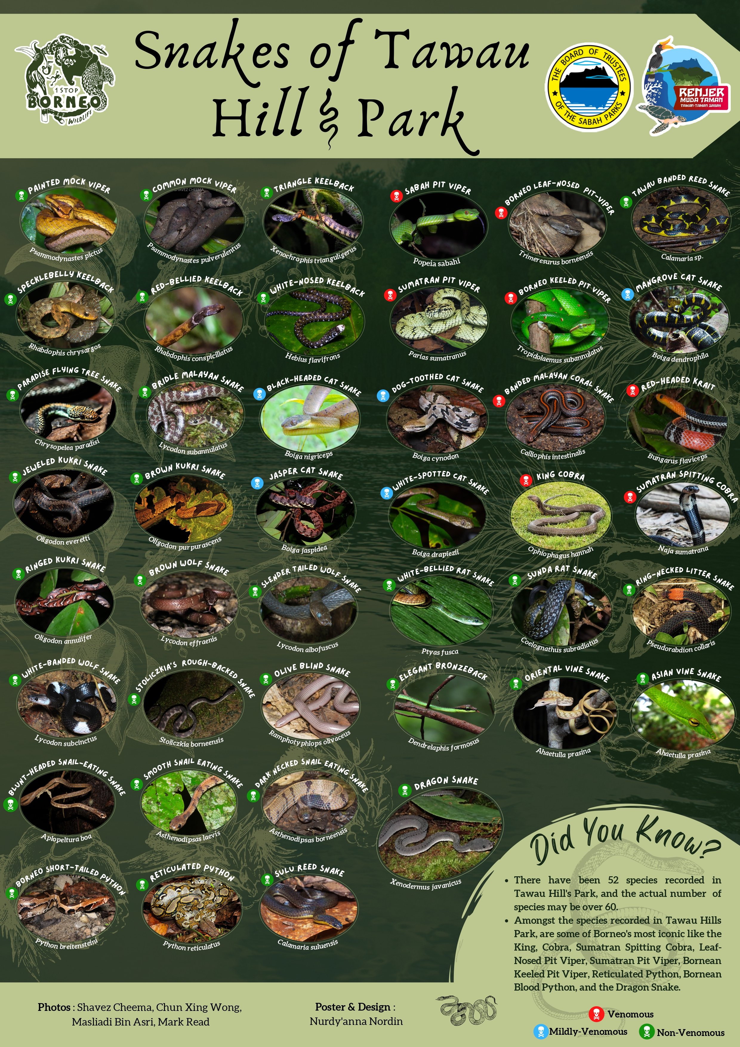 Snakes of Tawau Hills Park Poster_page-0001.jpg