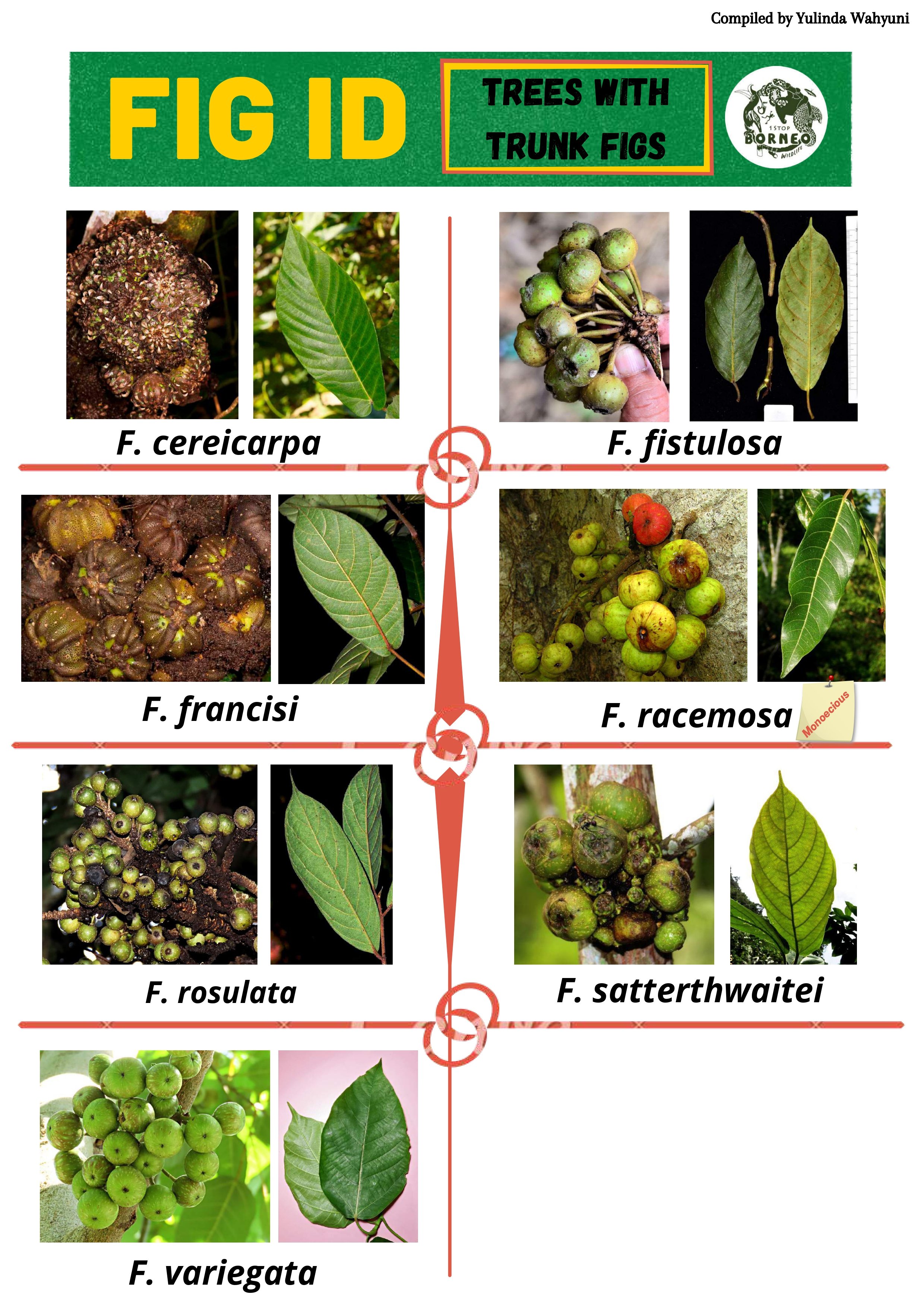 fig+id+(4)-compressed_page-0008.jpg