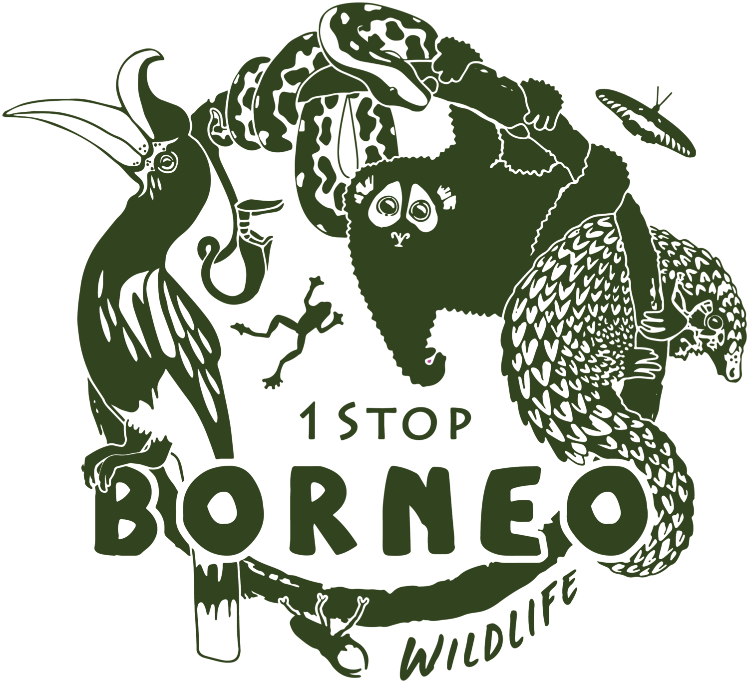 1StopBorneo Wildlife 