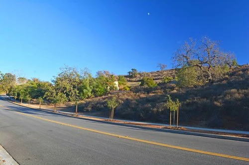 Memory Care/Assisted Living Development Site