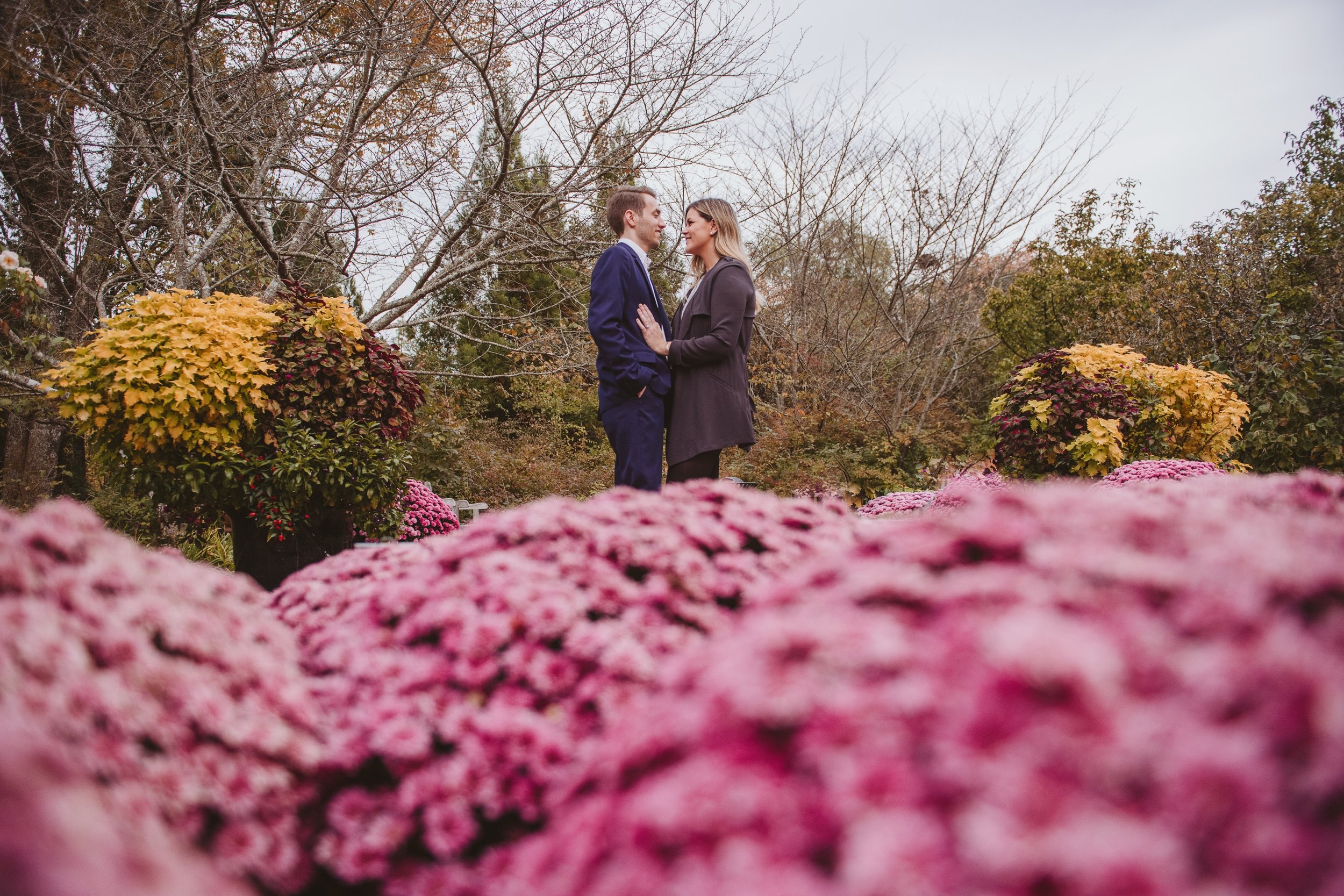 Nashville engagement photos at Cheekwood Botanical Gardens