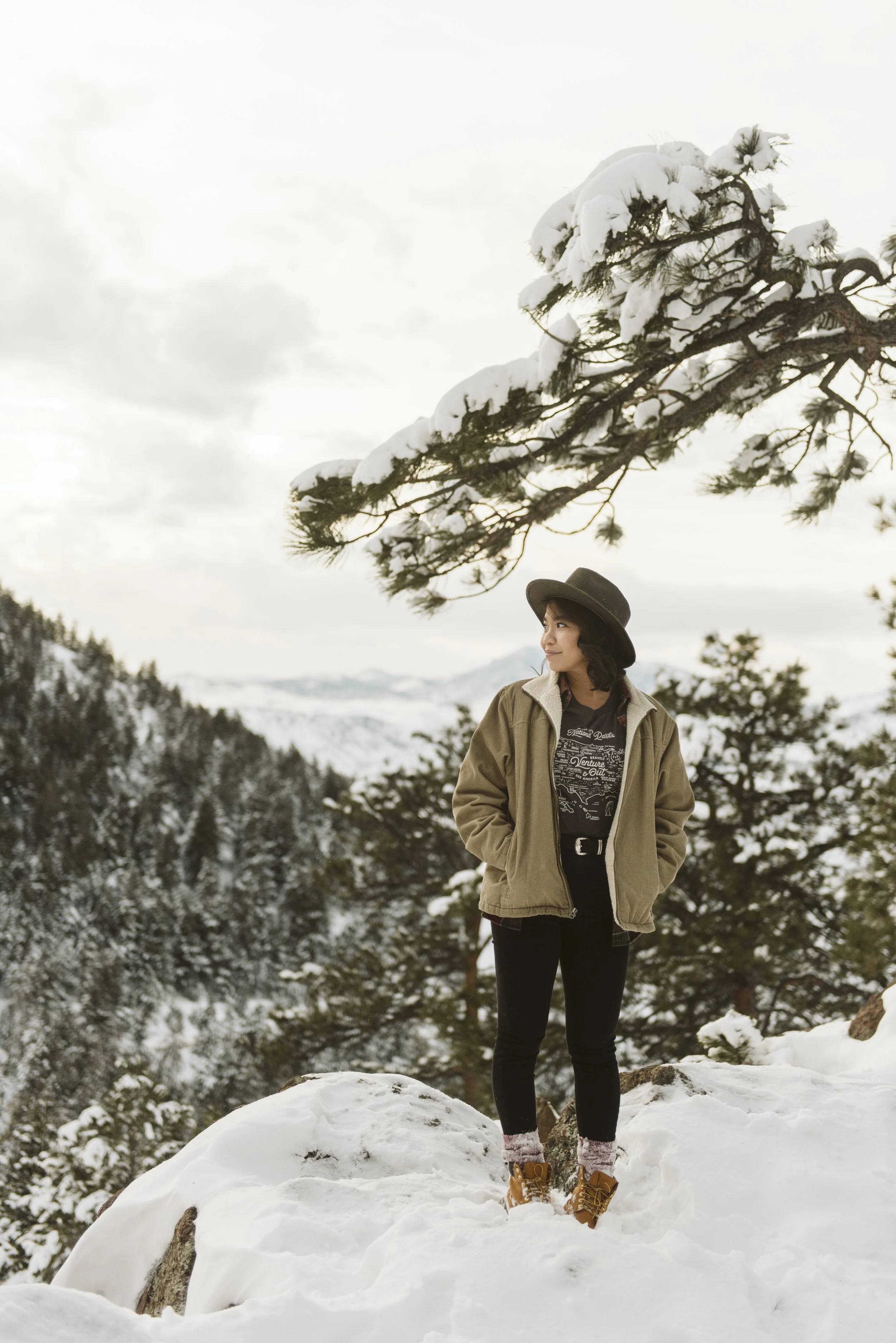 The Landmark Project at Lookout Mountain in Denver Colorado