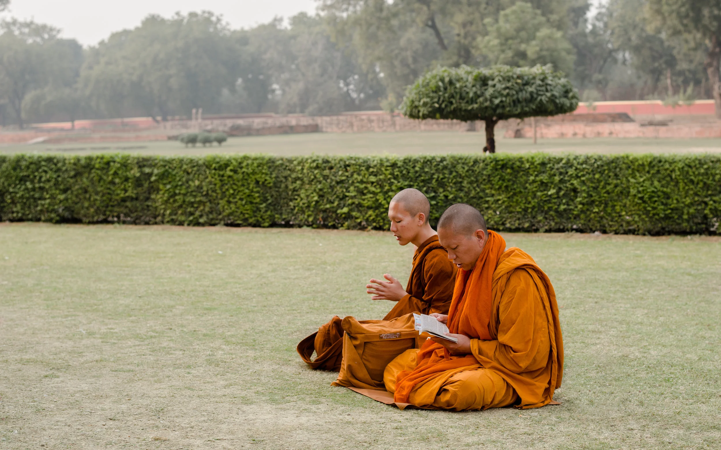 IndiaTopNoWM-3.jpg