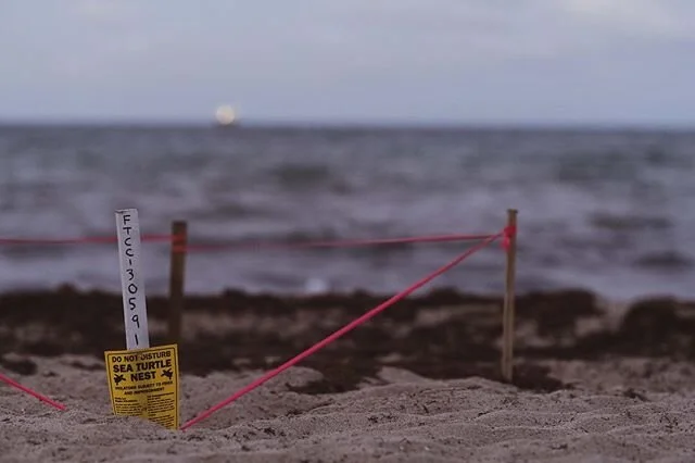 Fort Lauderdale Evening