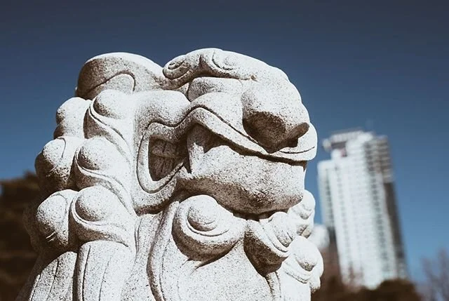 Almost forgot my post today!
Some more shots from Bongeunsa Temple!