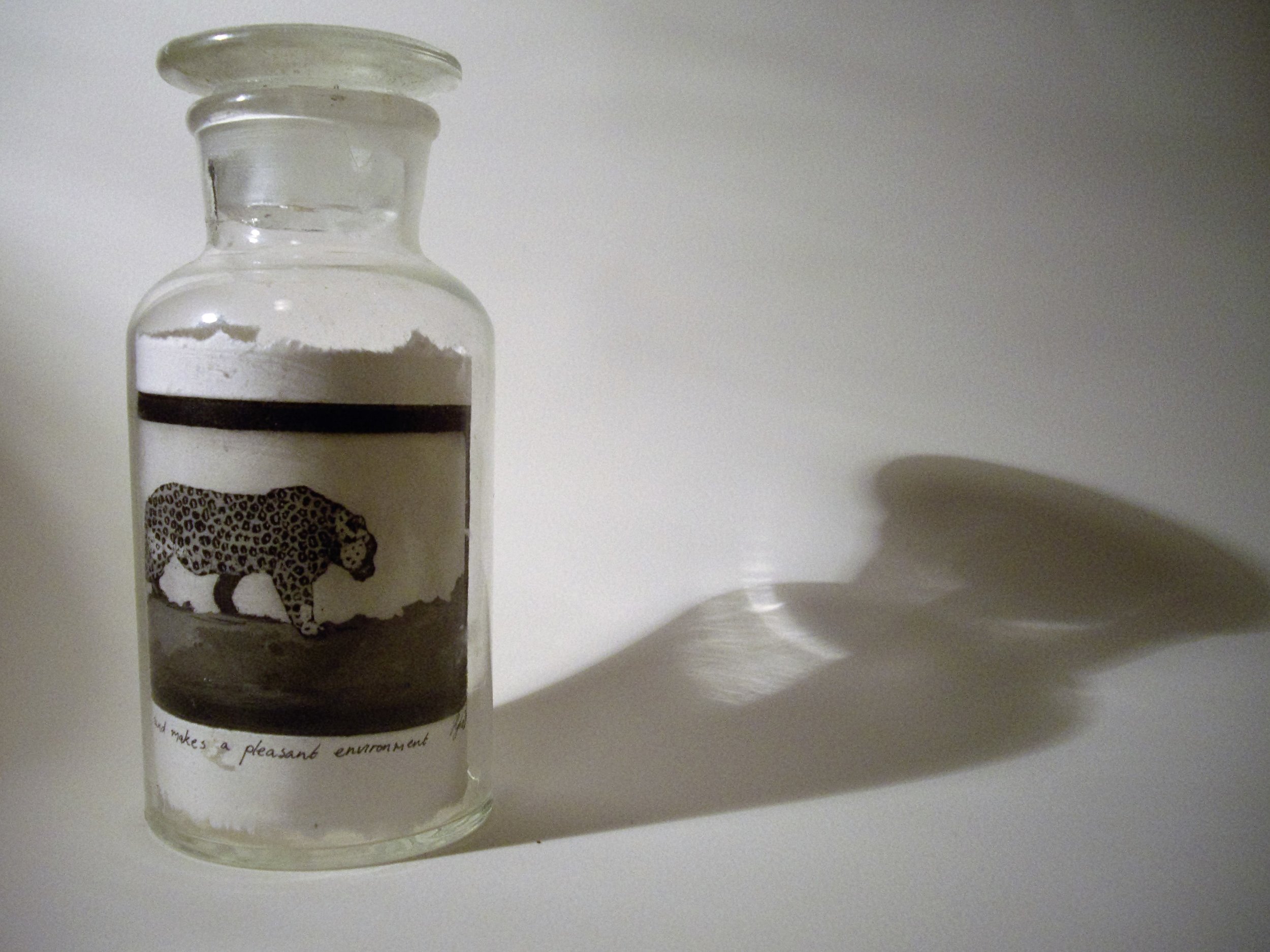 Blackley, Sanguine Environment, Sugarlift aquatint in jar installation.jpg