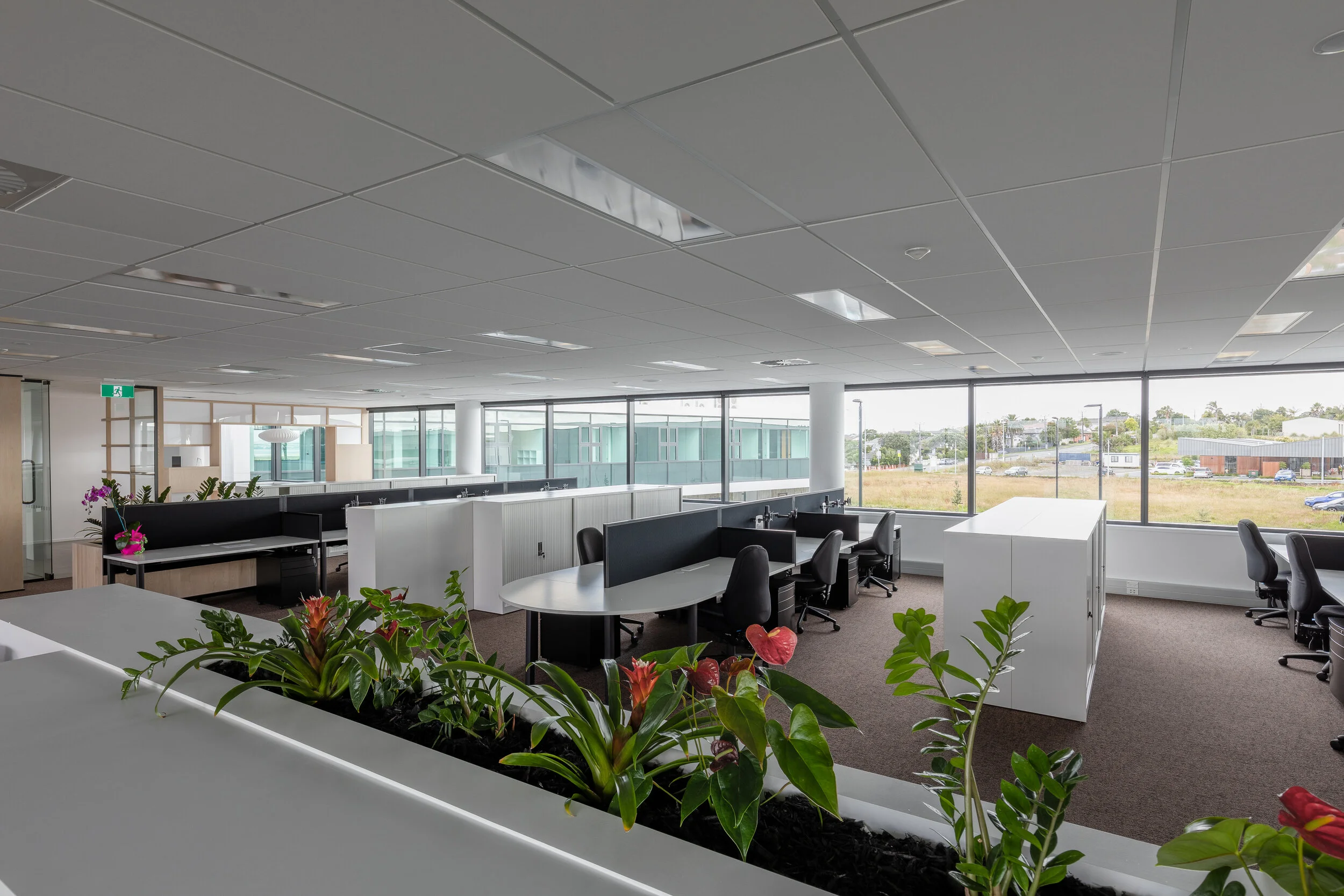 2019-01-22 - Gibson (12 of 21).jpg