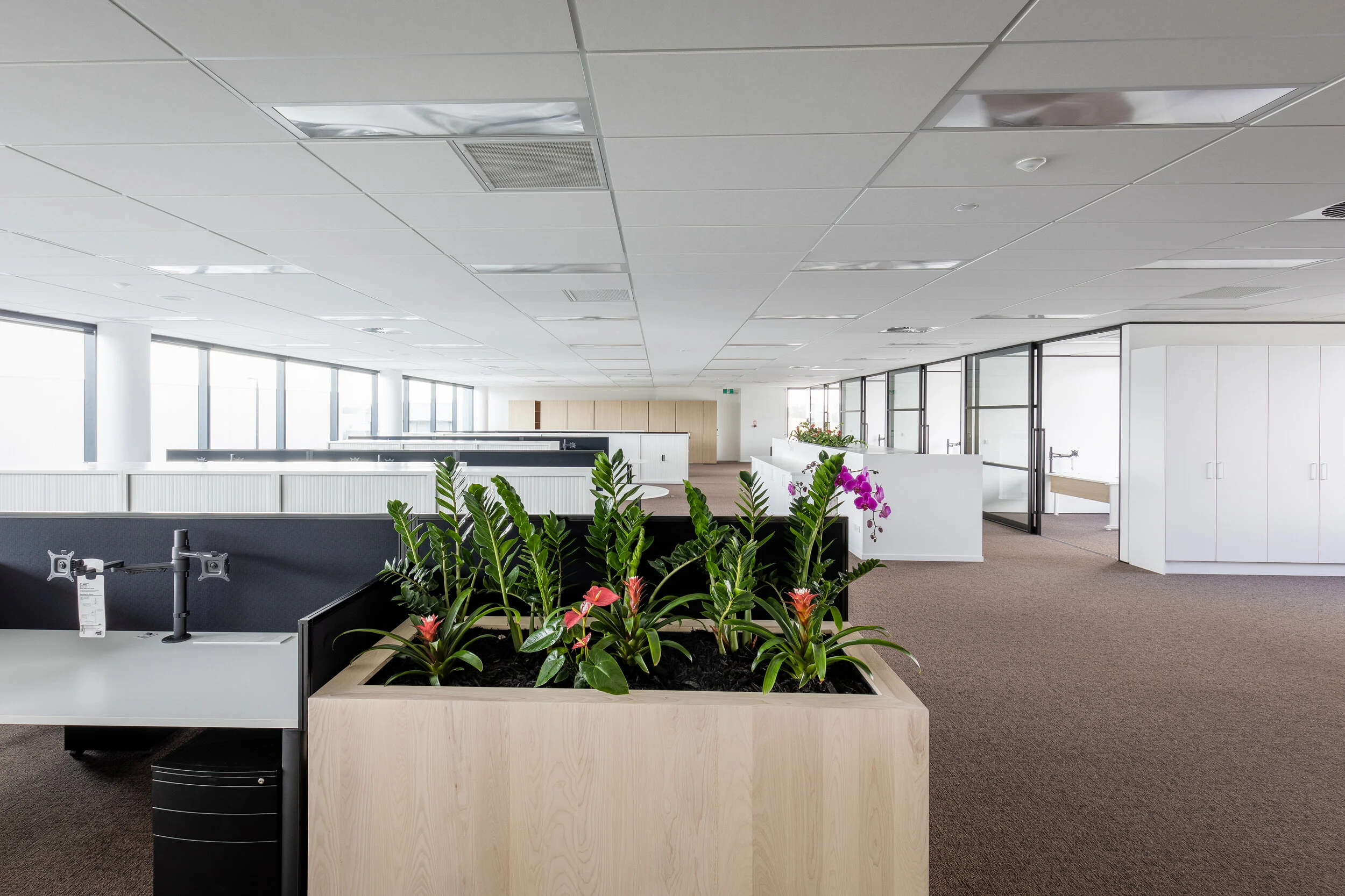 2019-01-22 - Gibson (6 of 21).jpg