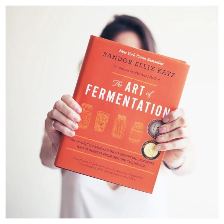 The Art of Fermentation