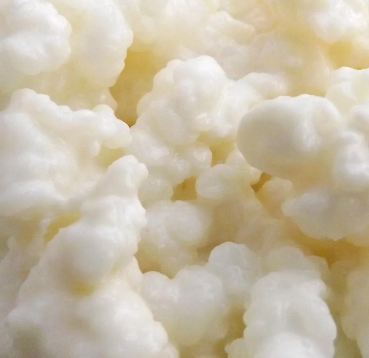 Milk+Kefir.jpg