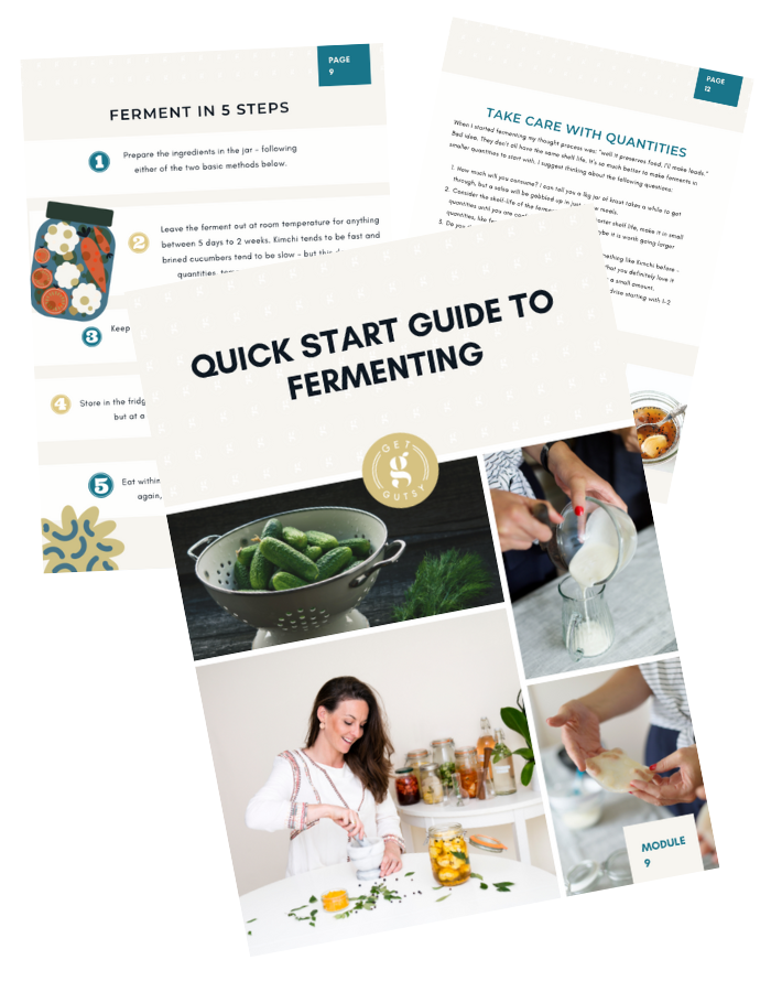 Quick Start Guide to Fermenting - Cover Page.png