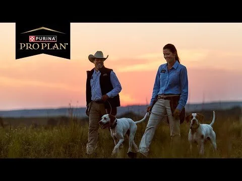 Experts Ronnie & Susanna Smith Share Their Experience About Raising and Training Bird Dogs