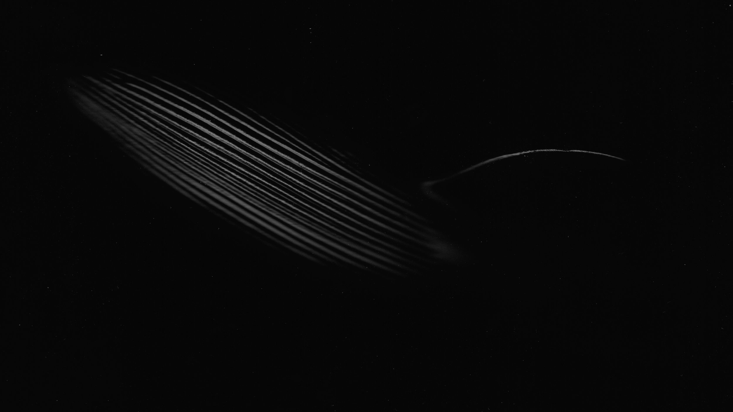 Whale Moving Across, Desktop scanner