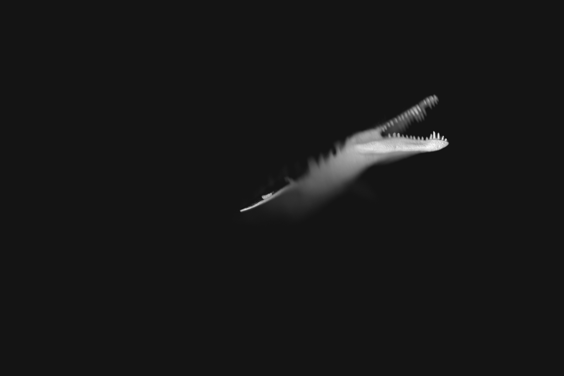 Prehistoric Crocodile, Desktop scanner