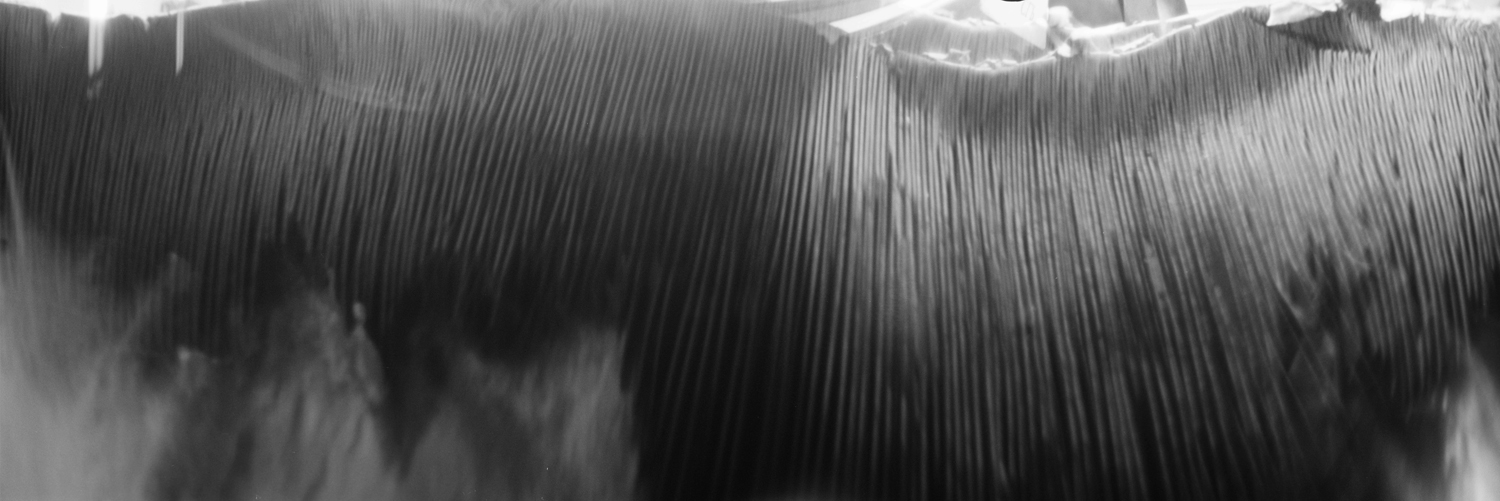 Shroomscape No. 1 · Pinhole Camera, 120mm film · Pigment Print