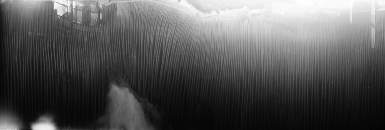 Shroomscape No. 2 · Pinhole Camera, 120mm film · Pigment Print