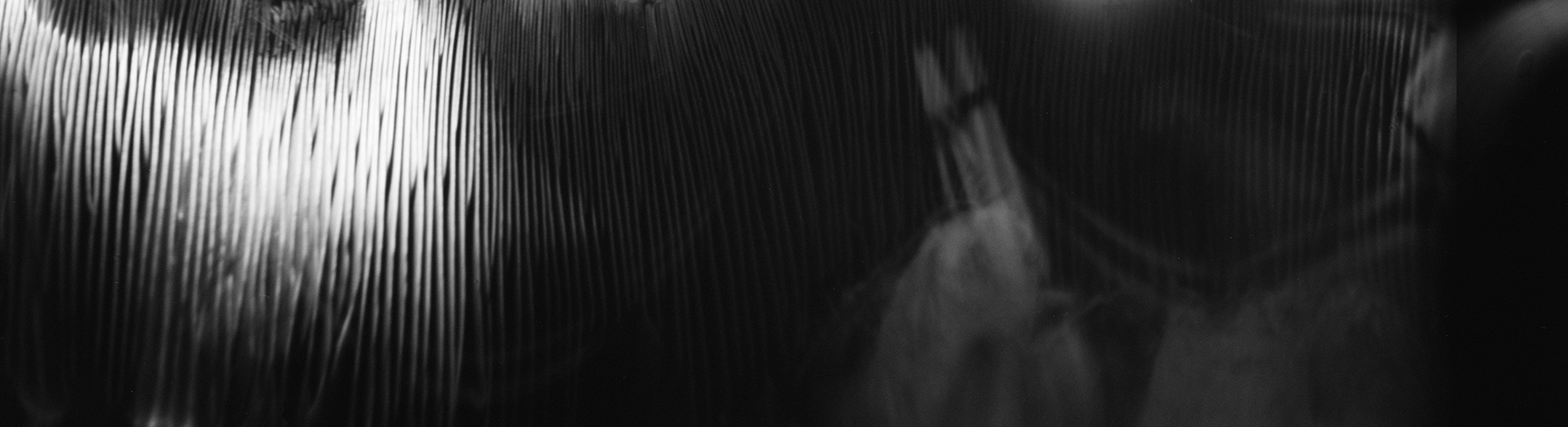 Shroomscape No. 3 · Pinhole Camera, 120mm film · Pigment Print