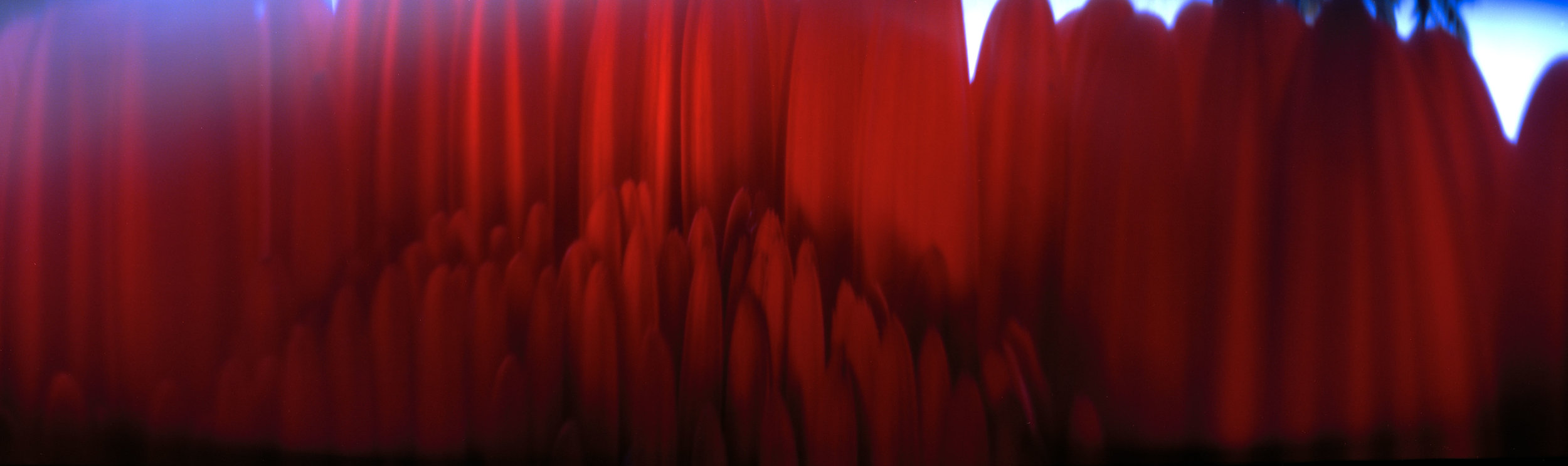Red Flower 2