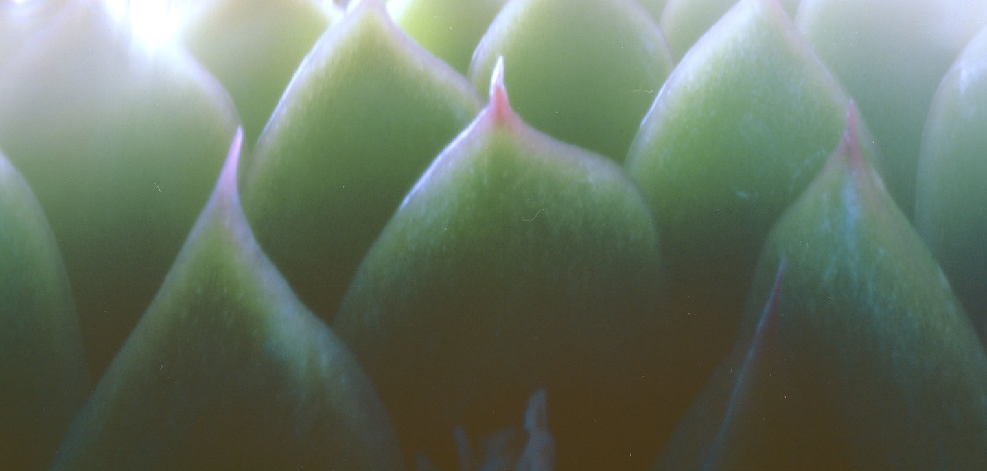 (Detail)