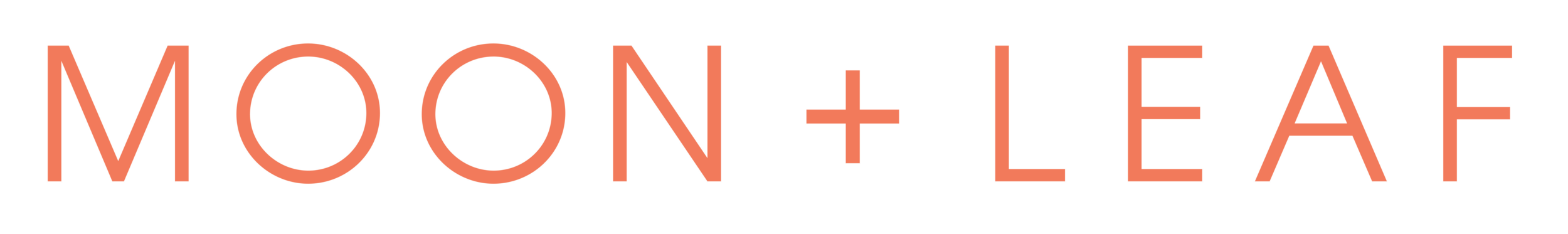 Wordmark and Color