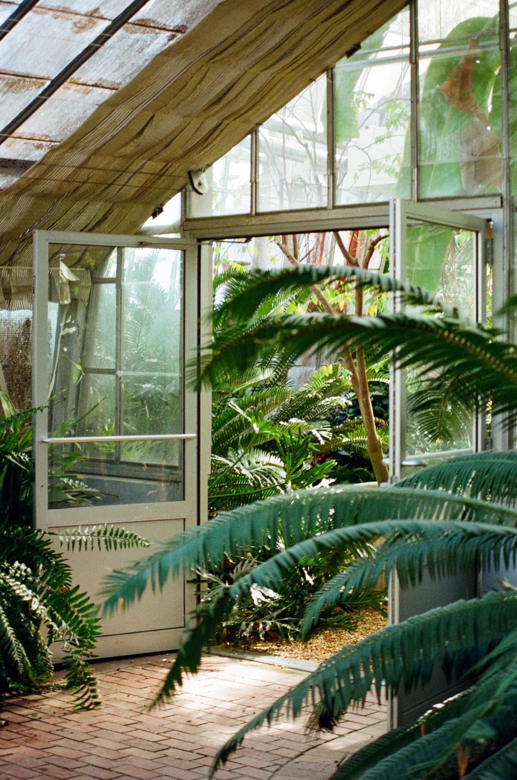 Early 25 Jan Film-17.jpeg