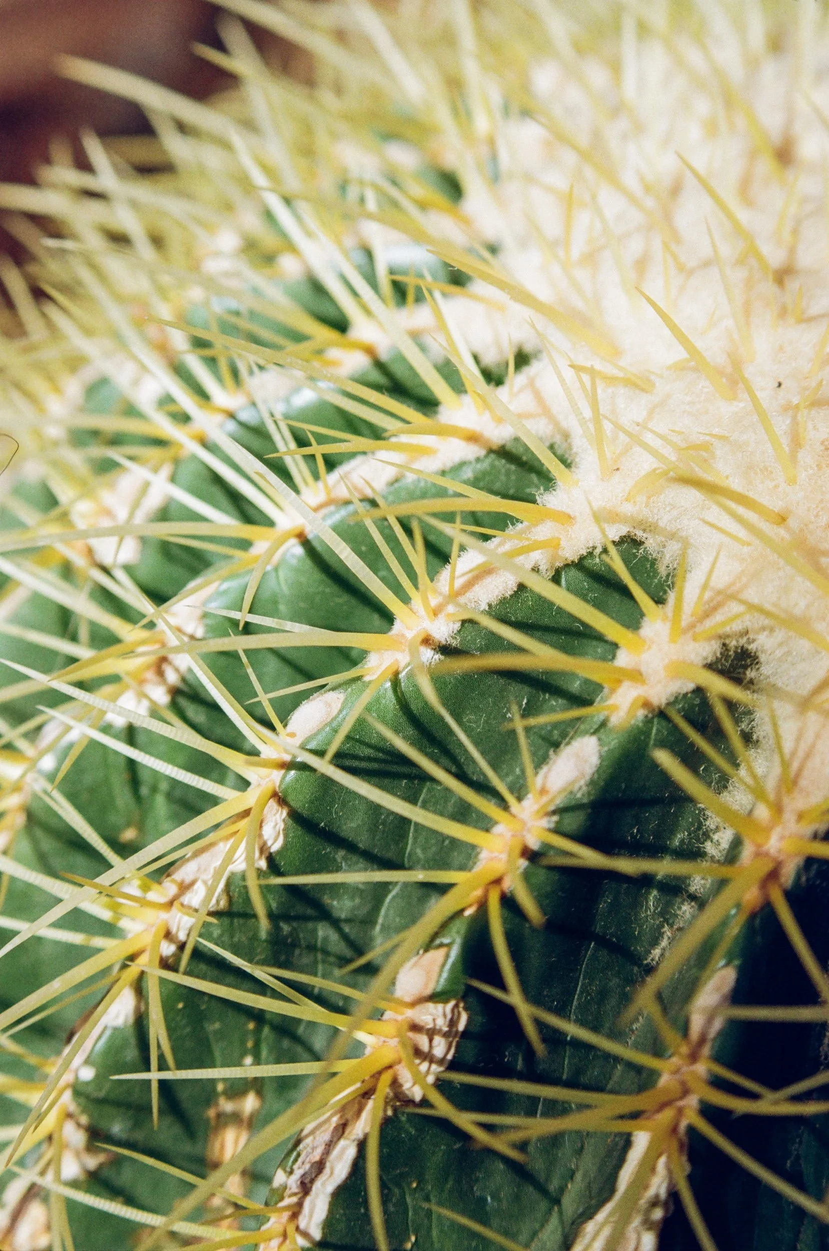 Early 25 Jan Film-03.jpeg