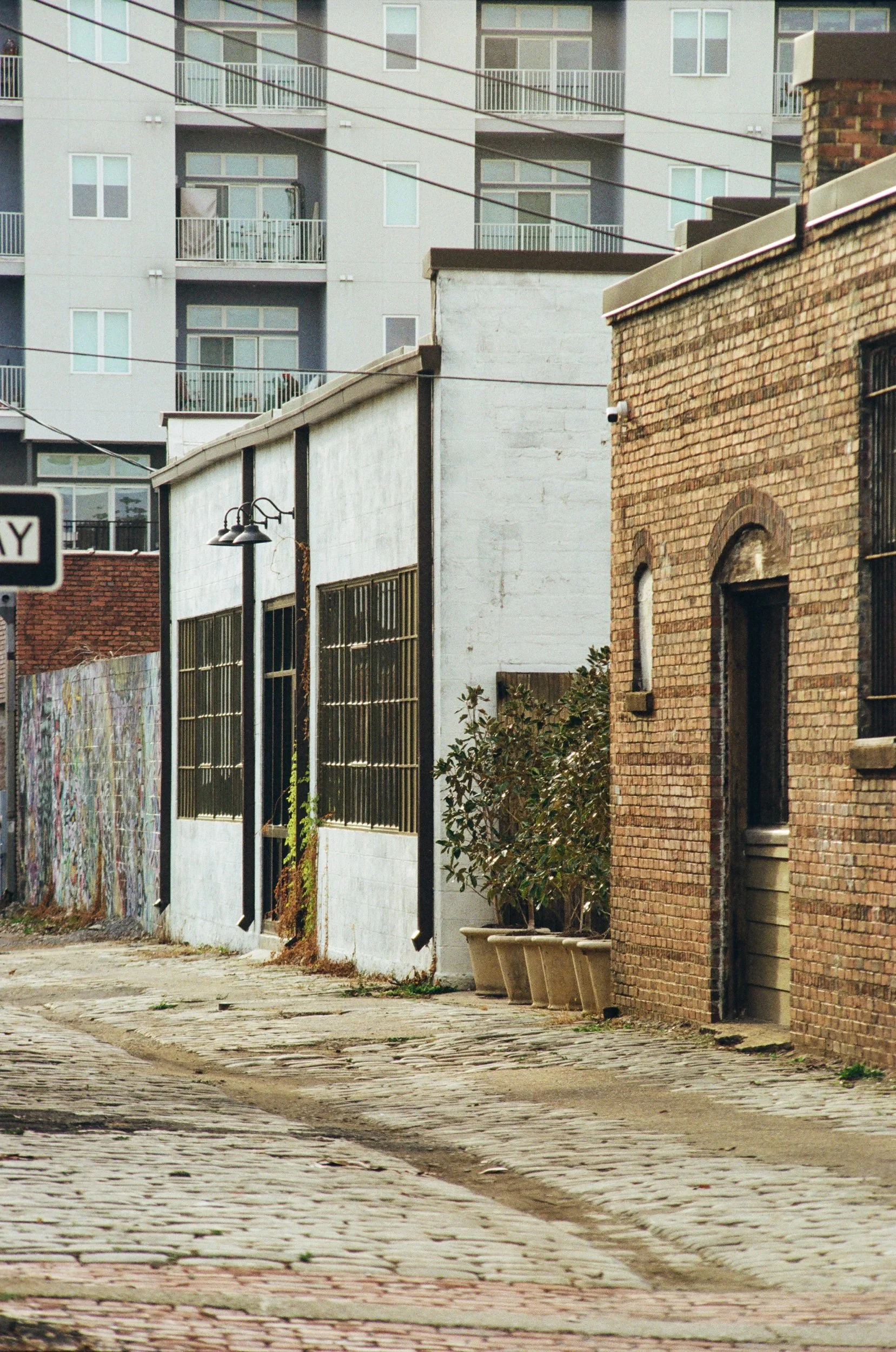 Early 25 Jan Film-08.jpeg