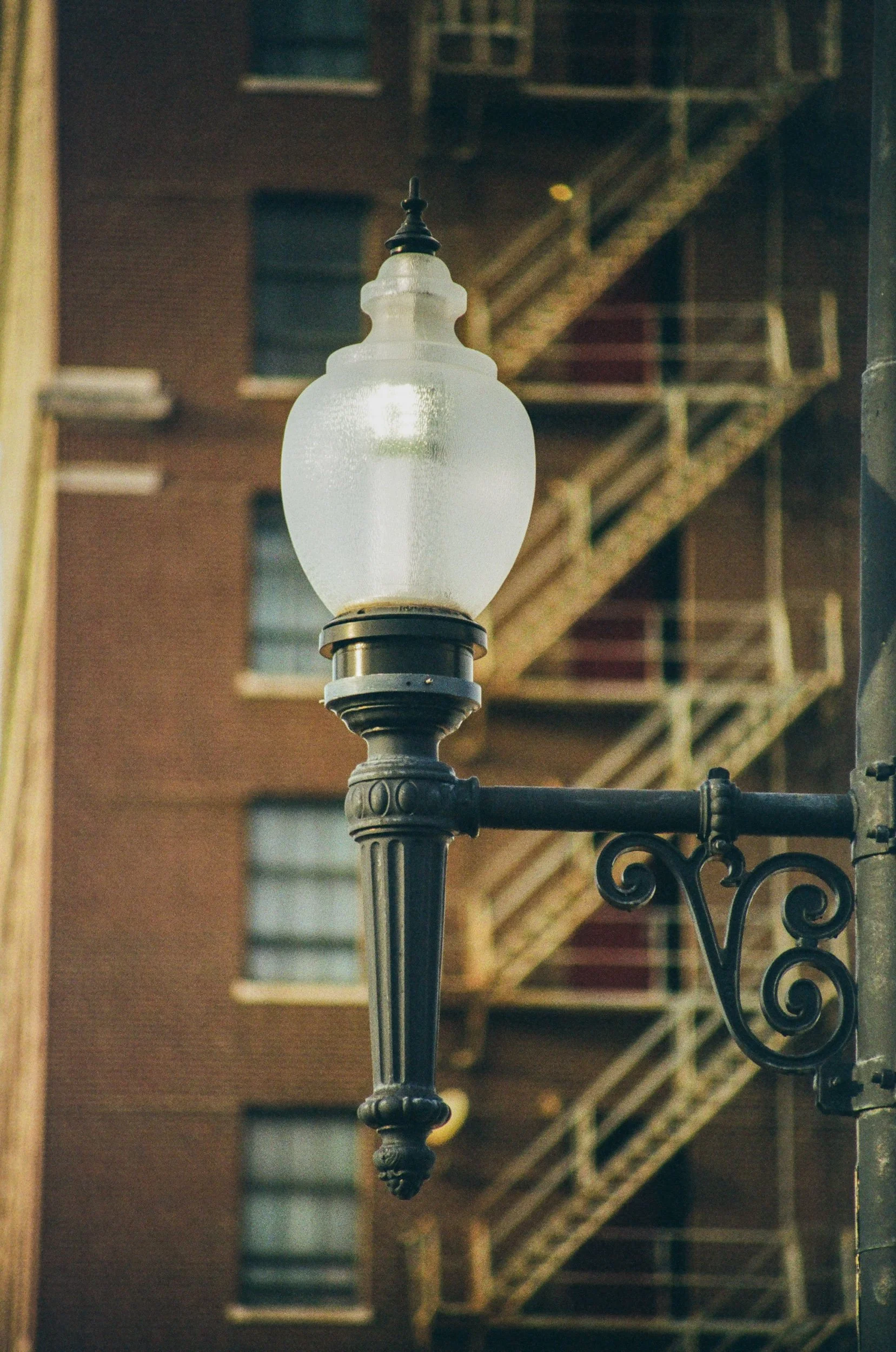 Early 25 Jan Film-06.jpeg