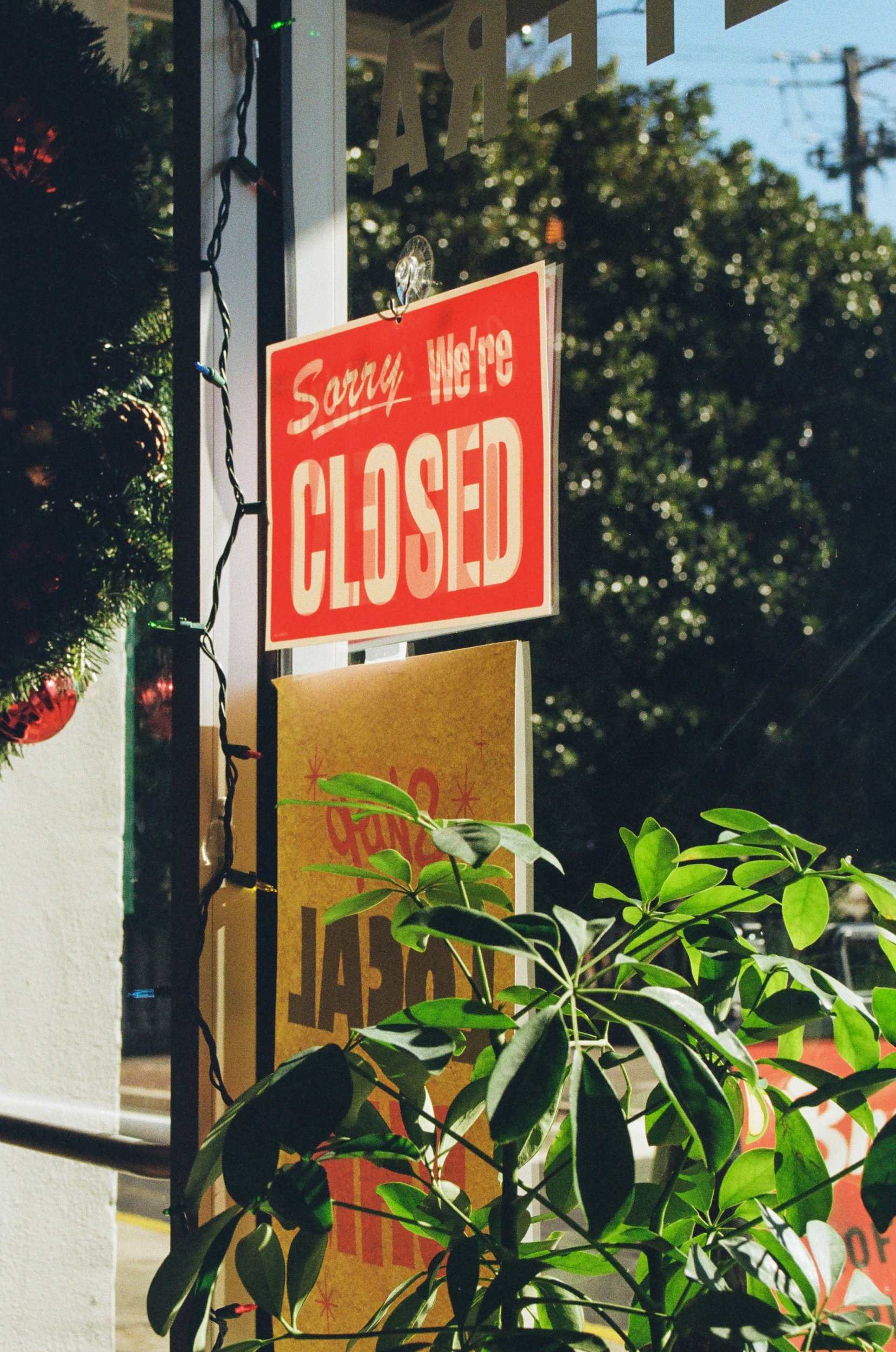 Early 25 Jan Film-14.jpeg