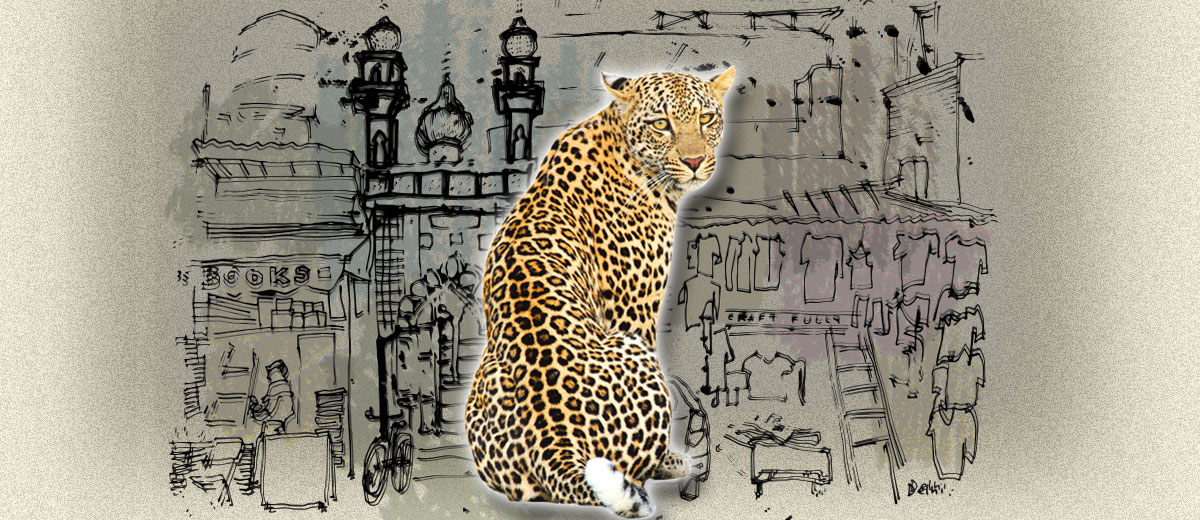 reporting-on-leopard-attack.jpg