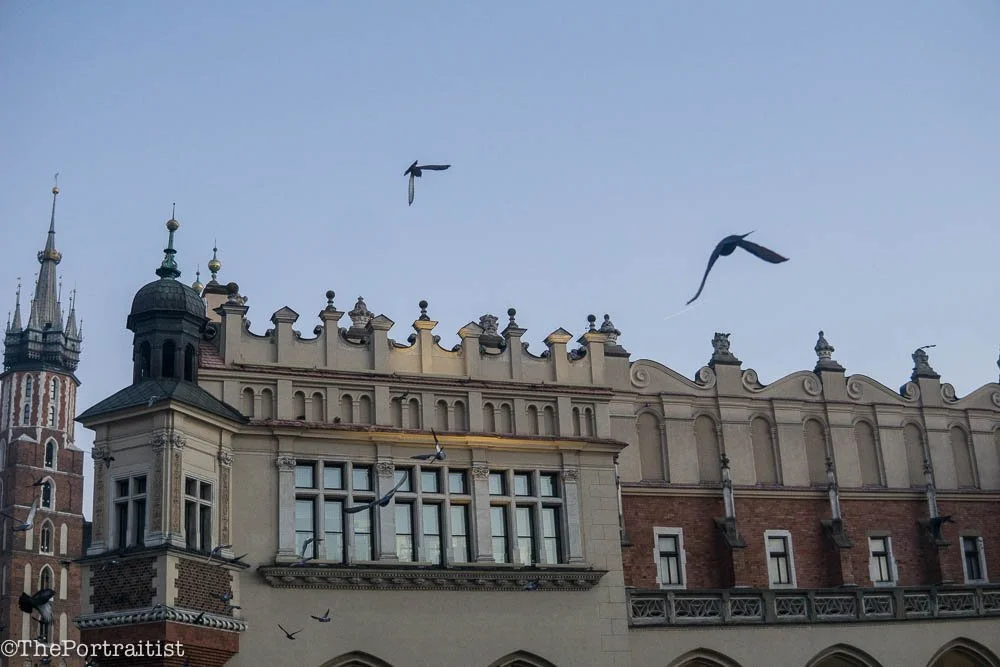 Kazmer Freedom (1 of 1).jpg