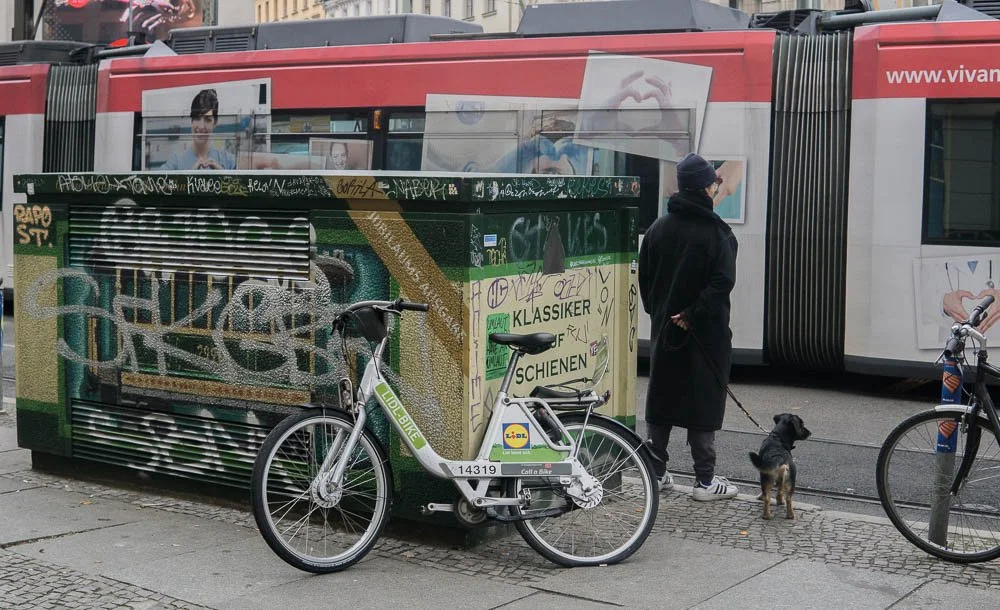 Europe - Germany - Berlin - Dog (1 of 1).jpg