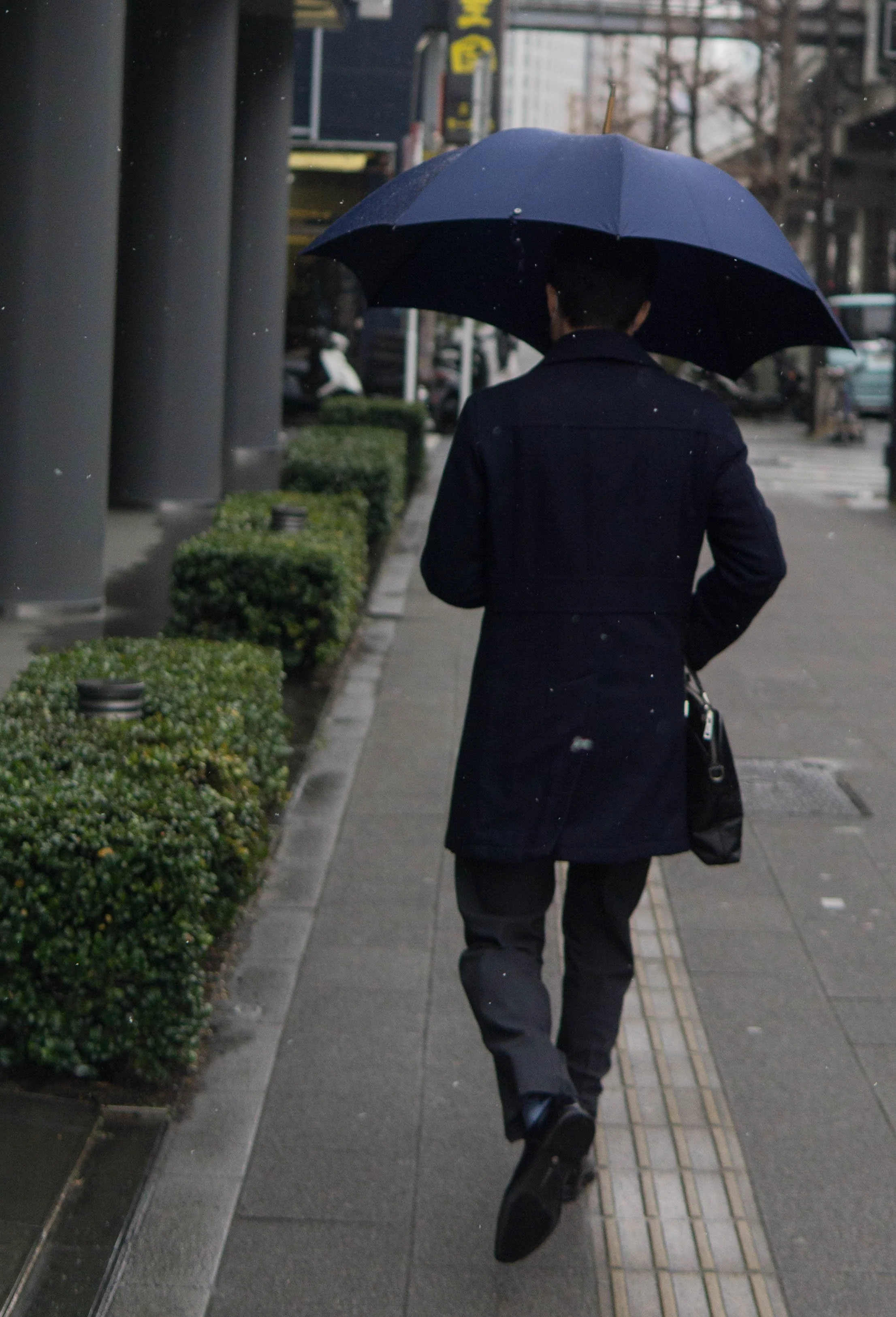 Japan - Tokyo - Ueno - Umberella Formal III.jpg