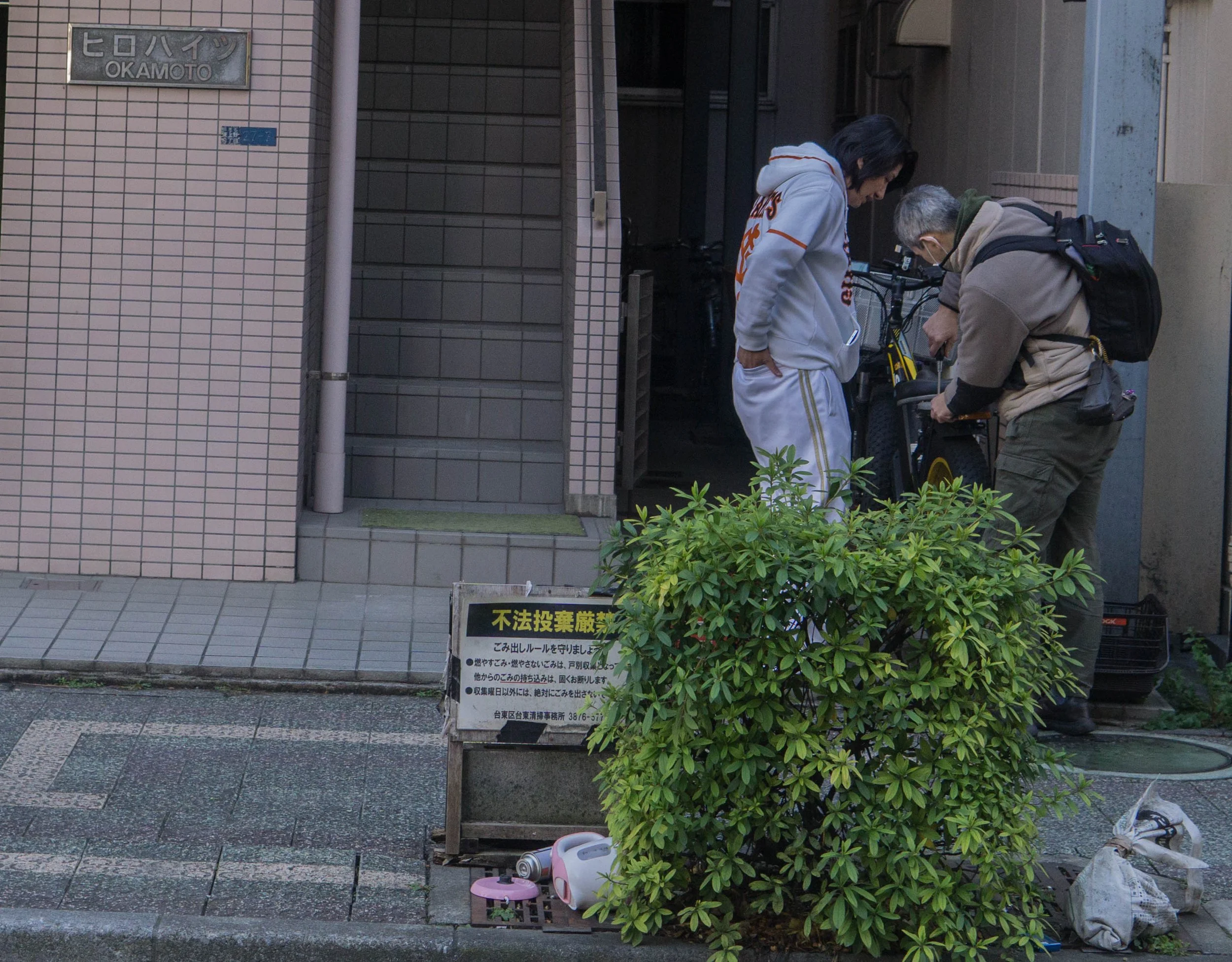 Japan- Tokyo - Ueno Blue Colar.jpg