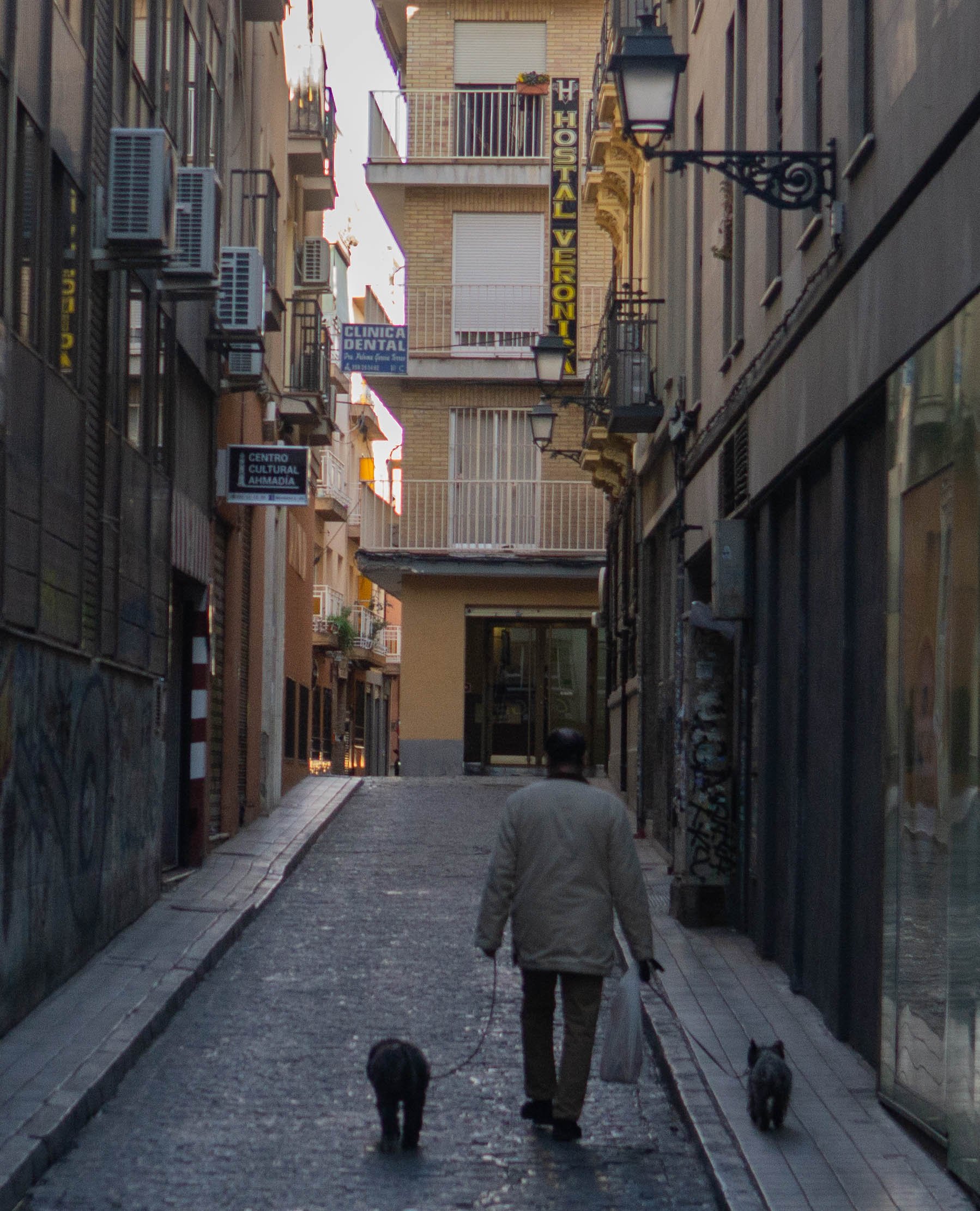 Europe- Spain - Malaga - Dog Walking Alleway.jpg