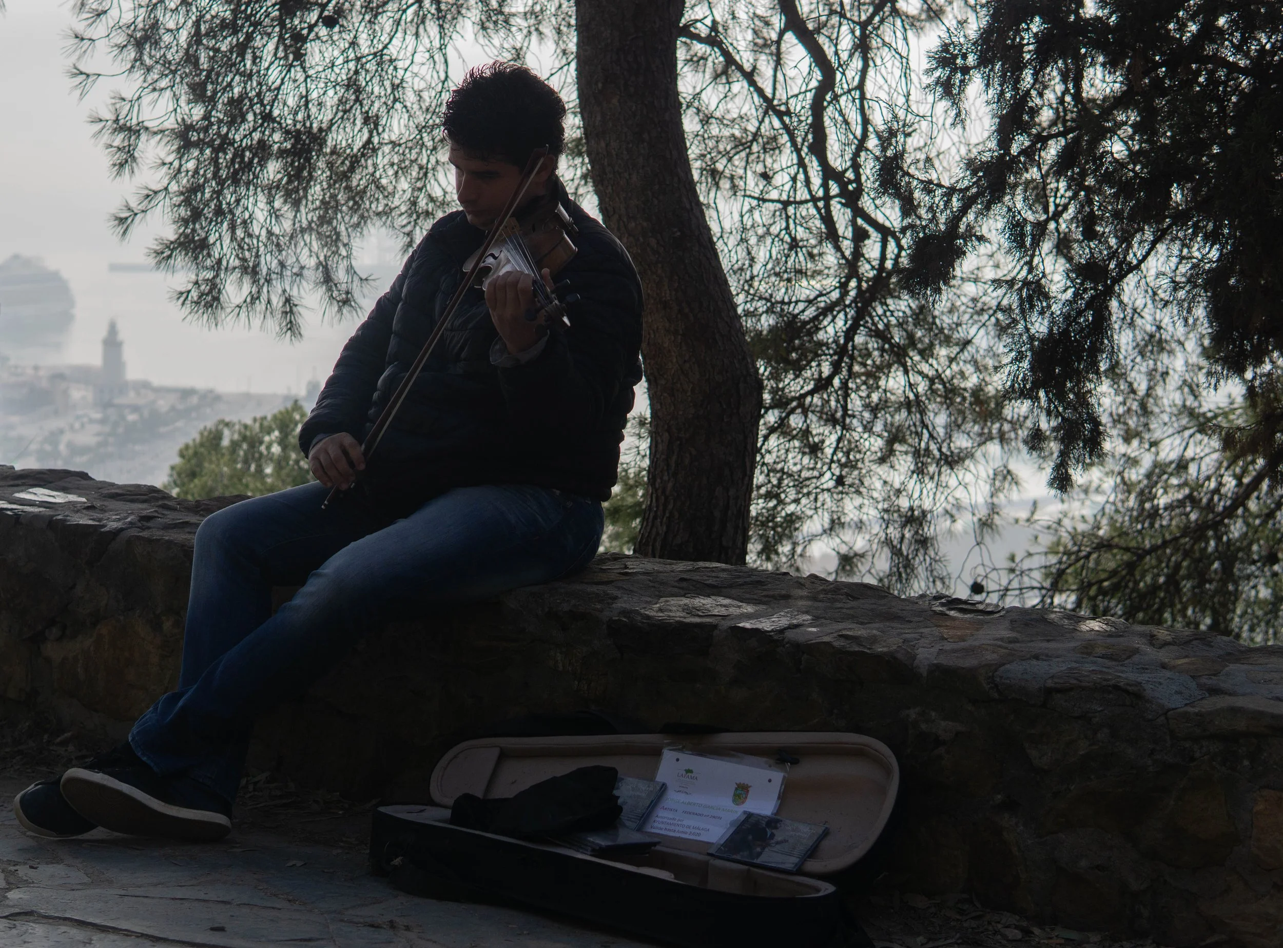Europe- Spain - Malaga -Violonist.jpg