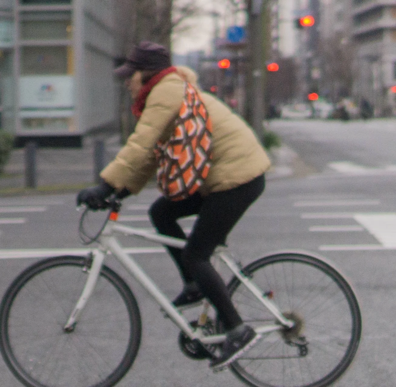 Asia - Japan - Kyoto-39.jpg