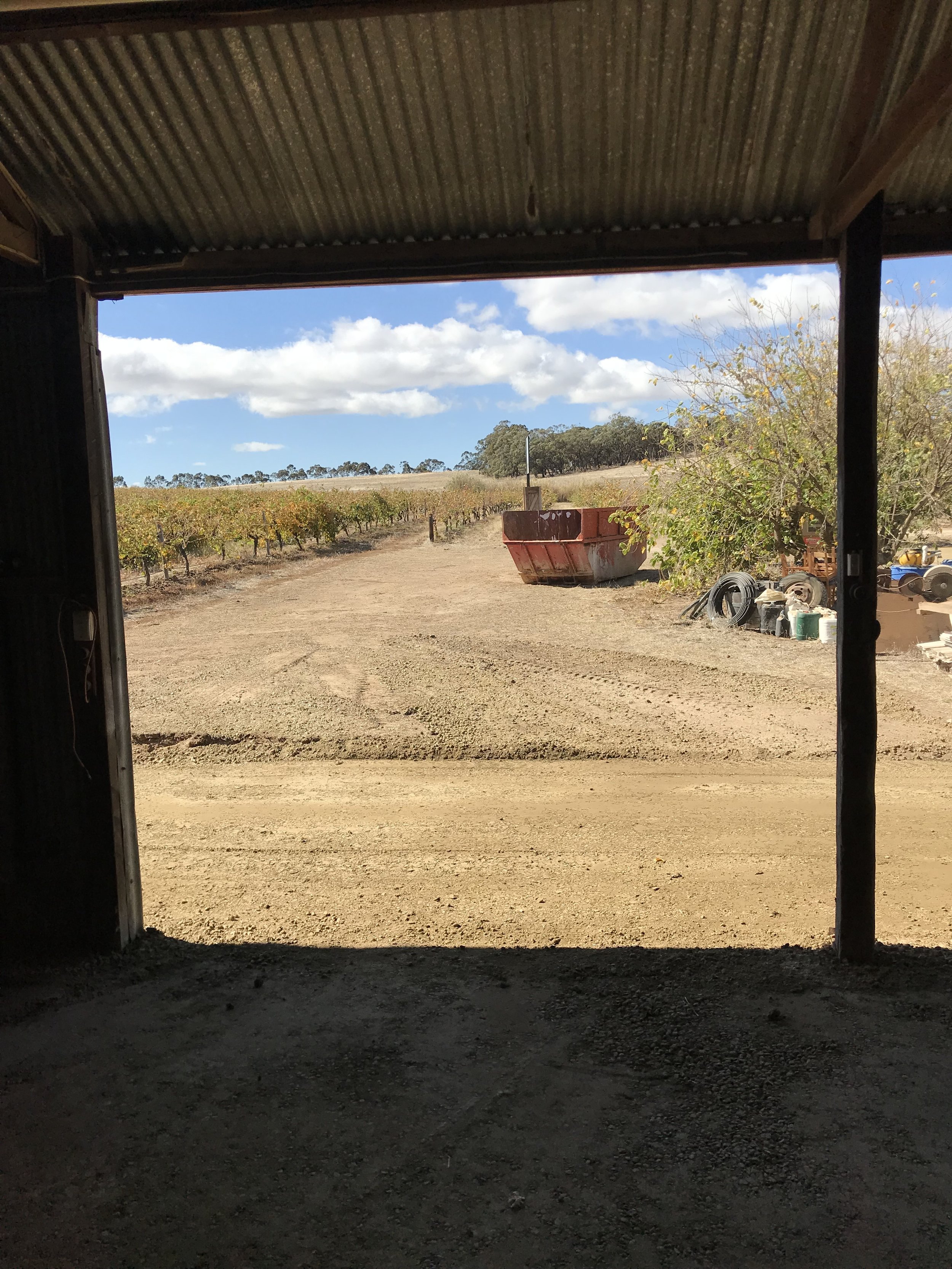 An early view from the Cellar Door