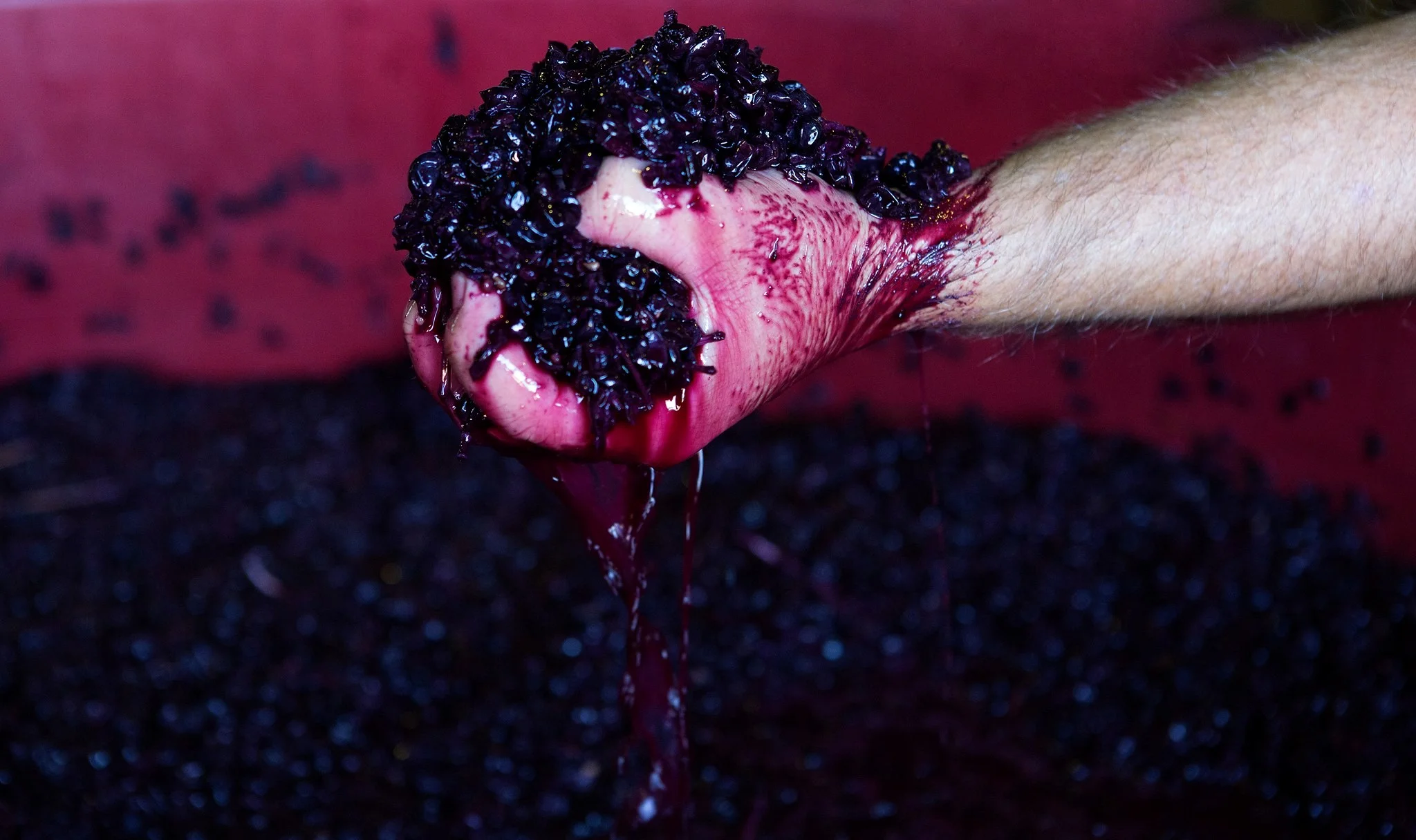winery.jpg