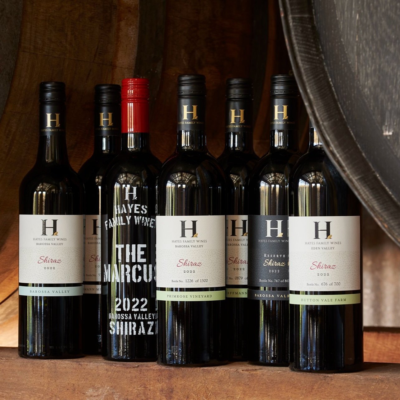 2024+Shiraz+Release+2.jpg