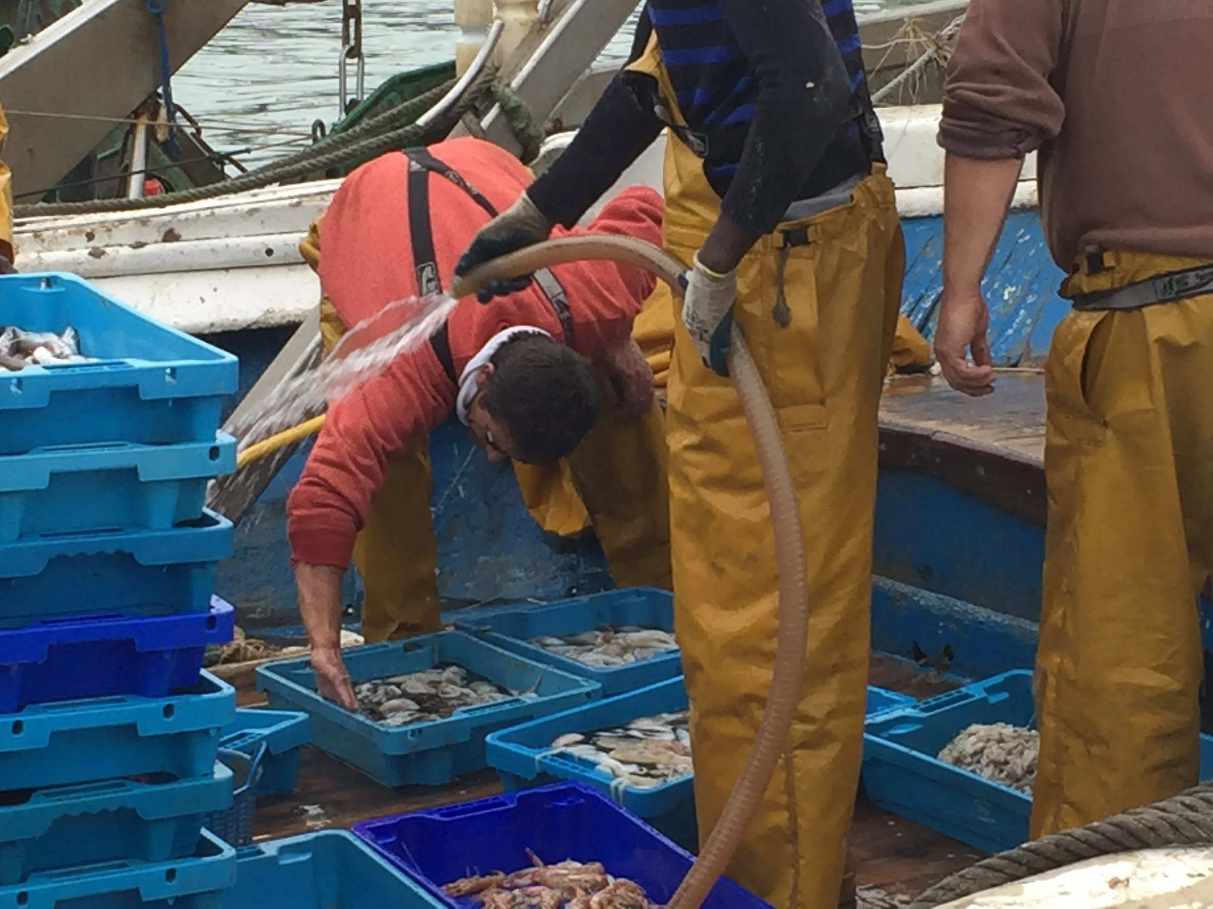 Denia, the Fishing Port
