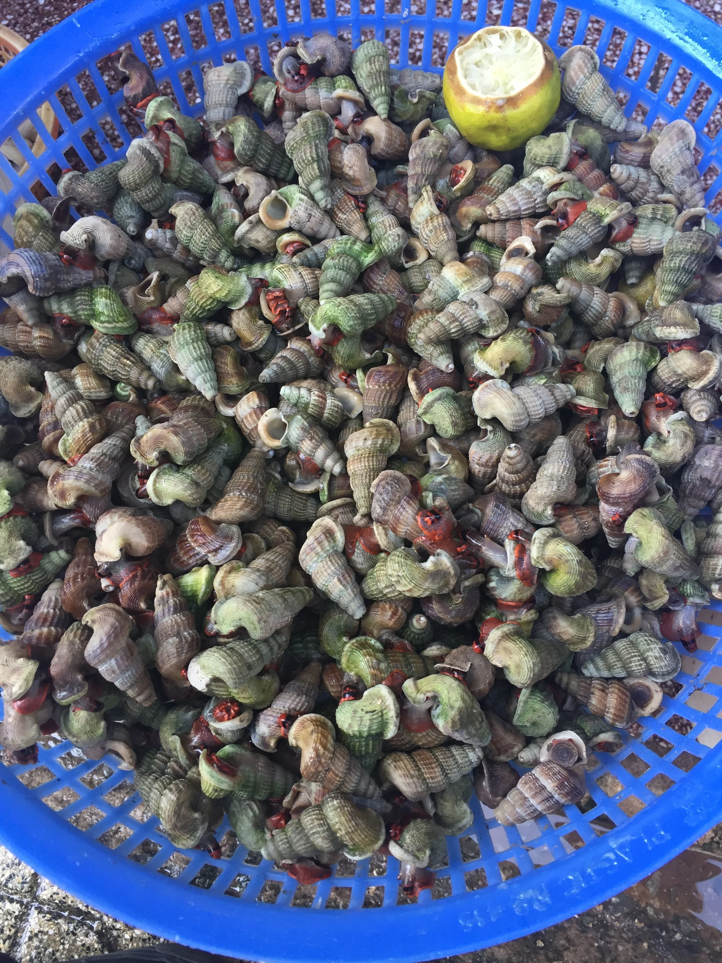 Ho Chi Minh City, Vietnam