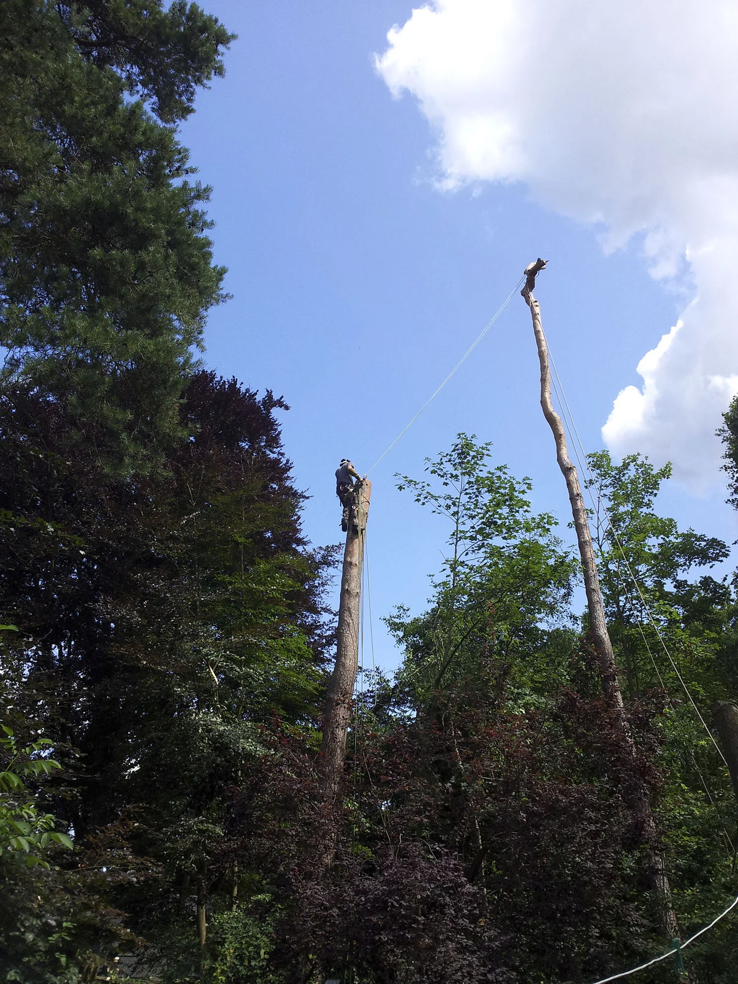 20150709_120404.jpg