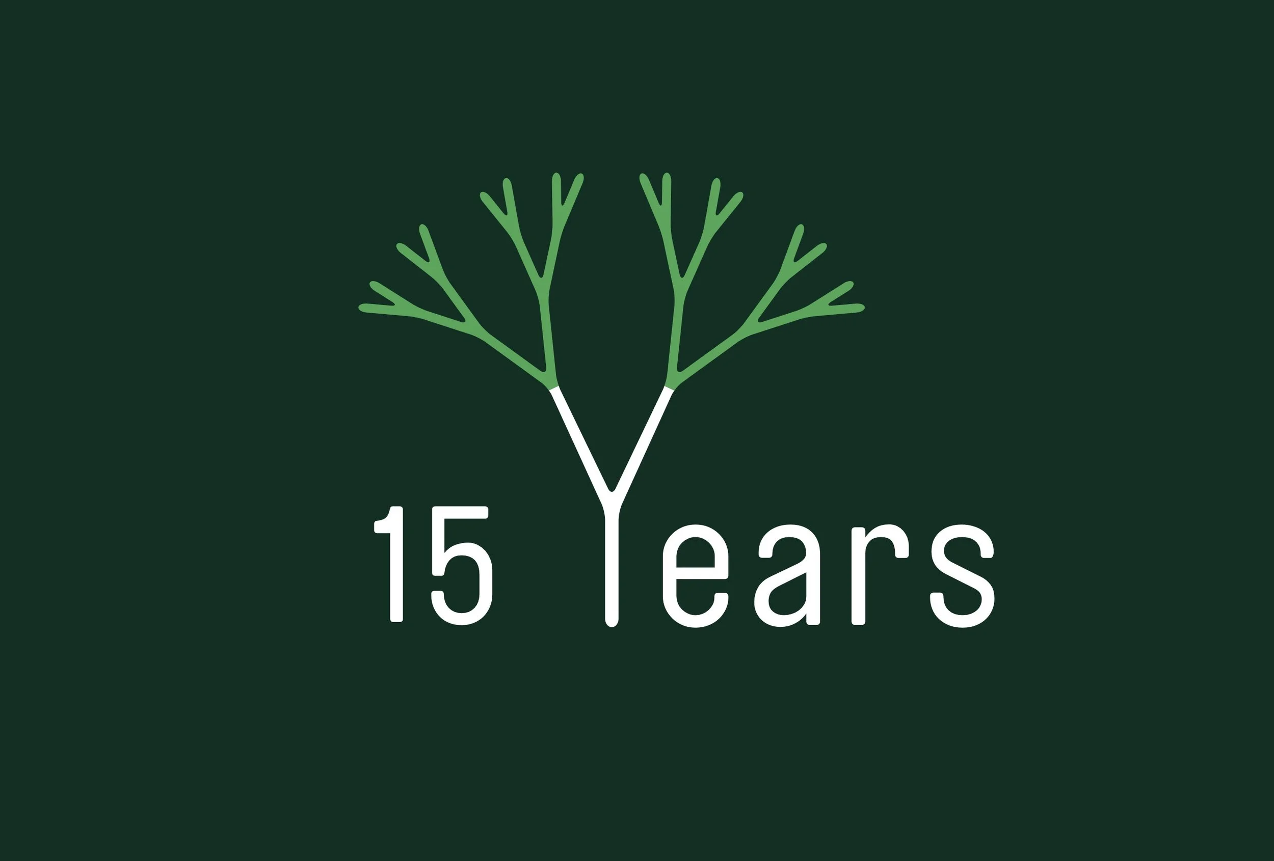 L'entreprise fête aujourd'hui ses 15 ans. 