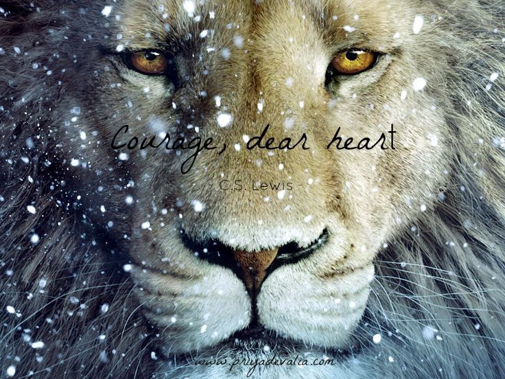 Image from www.priyadevalia.com via Pinterest